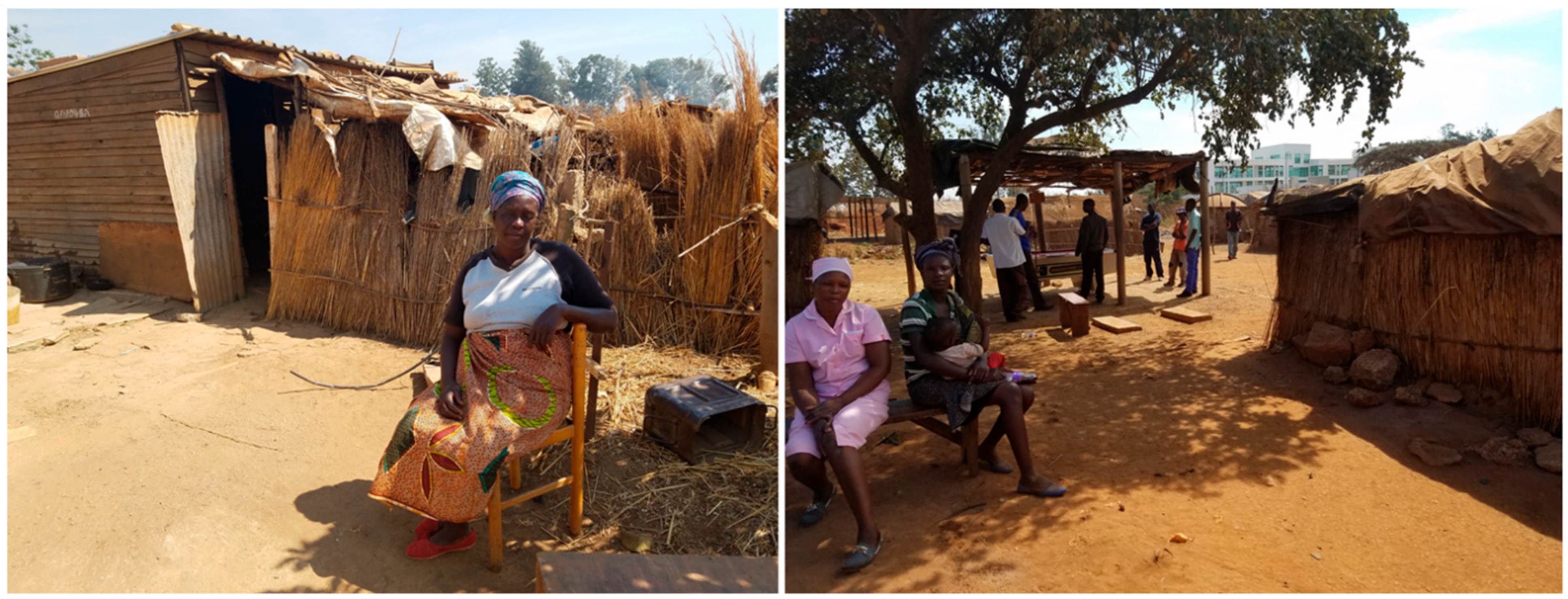 Societies 11 00007 g007