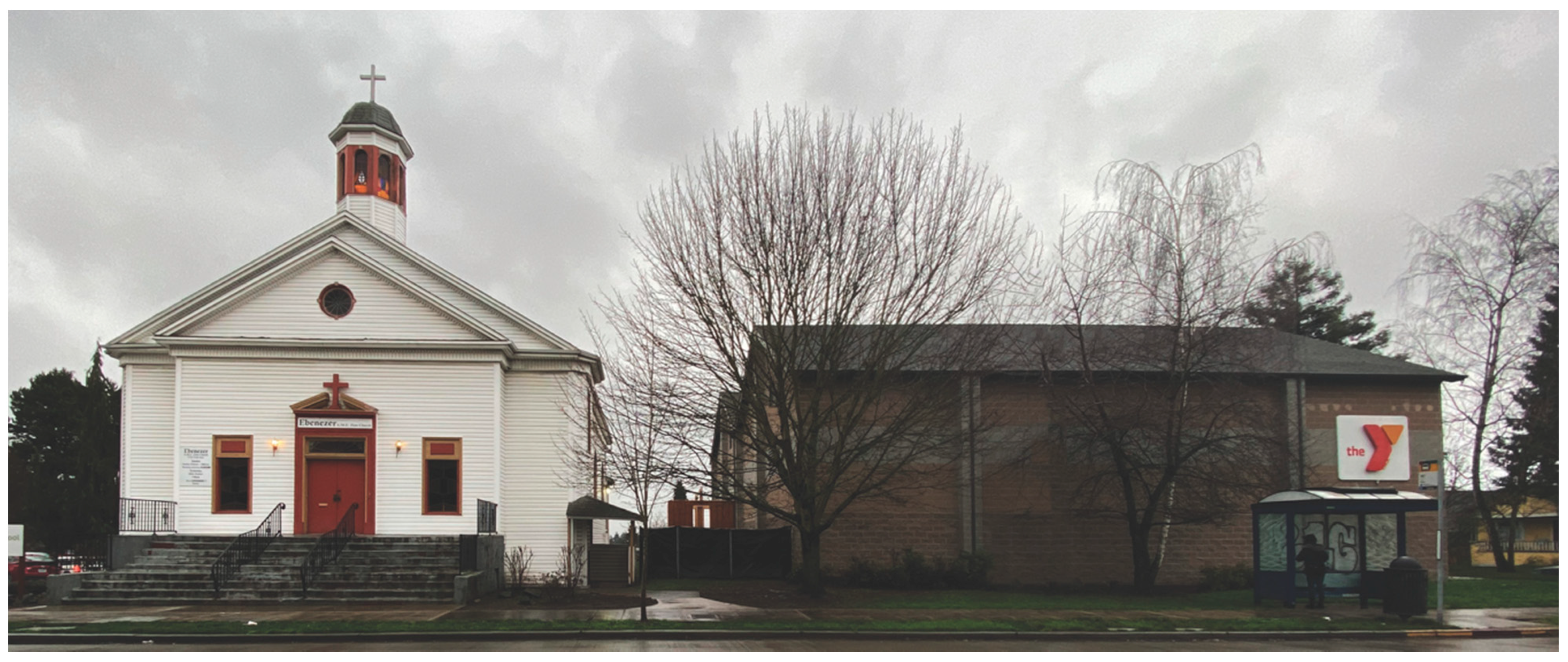 Societies 11 00010 g004