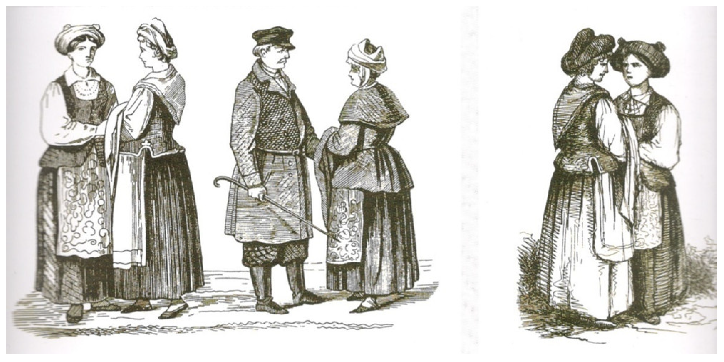 Societies 11 00017 g001