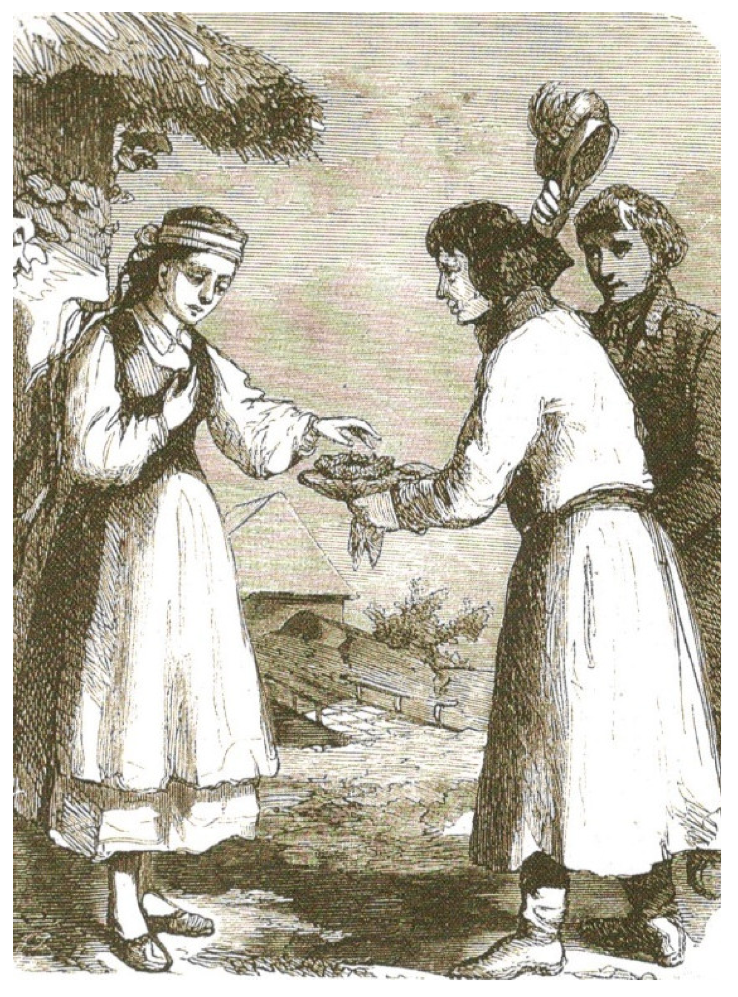 Societies 11 00017 g010