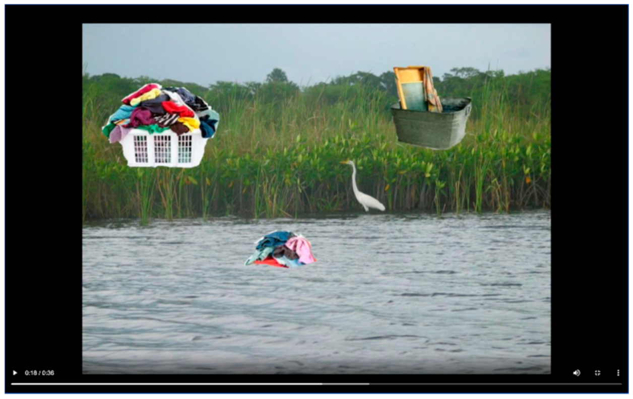 Societies 11 00038 g003