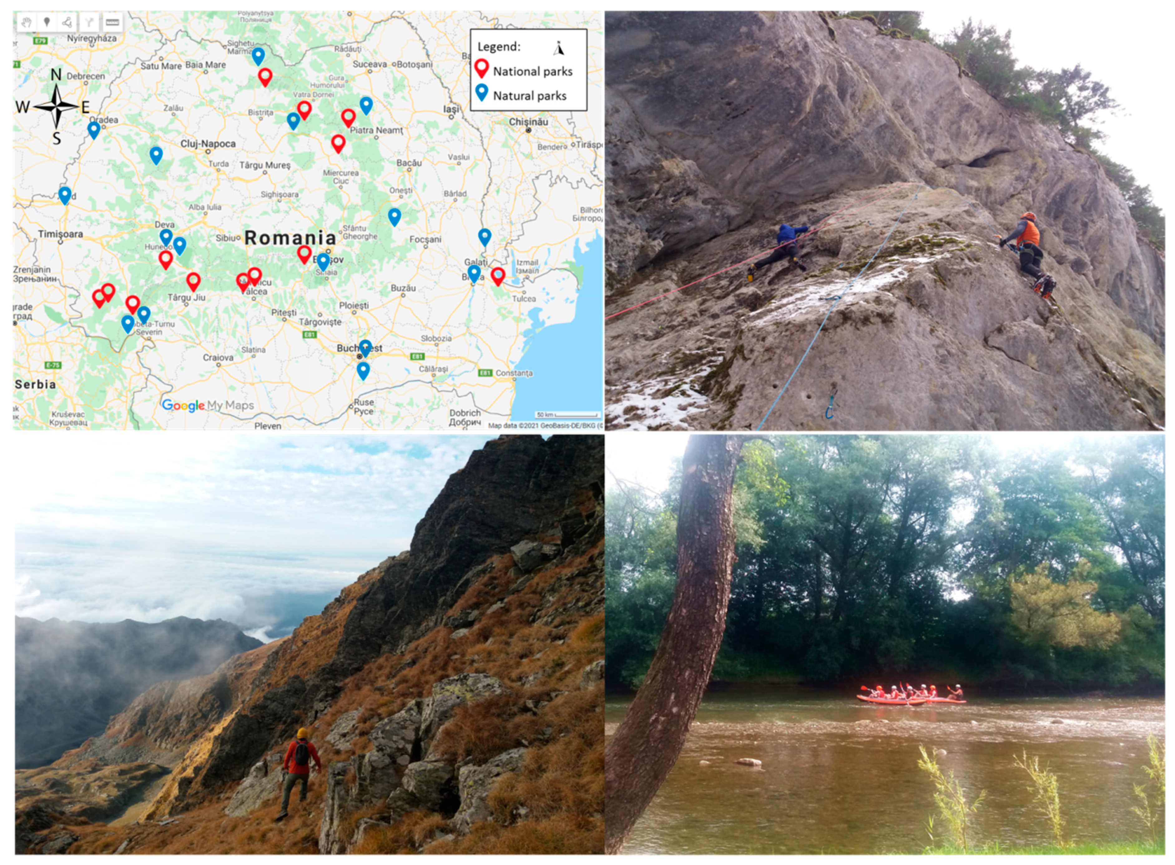 Societies 11 00041 g001