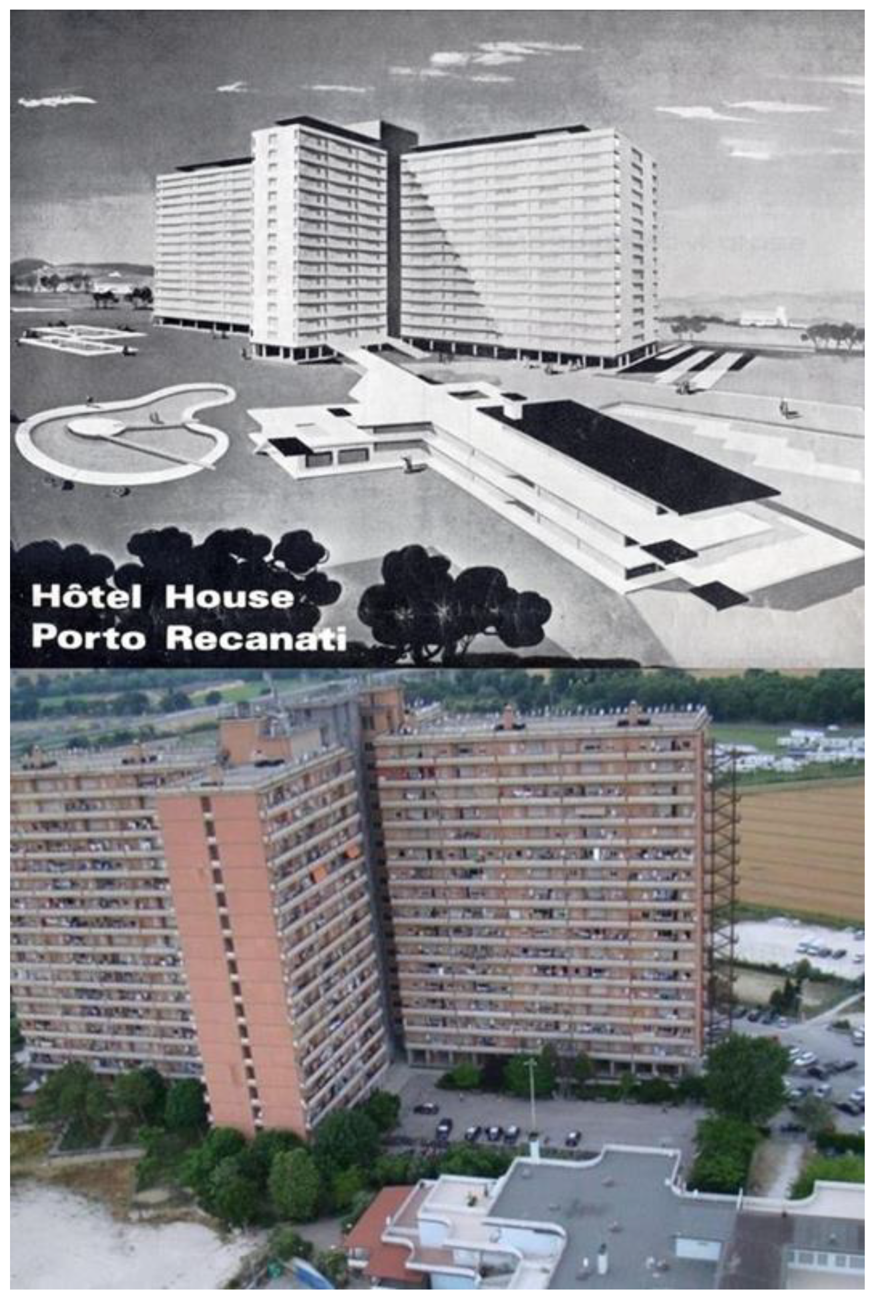 Societies 11 00051 g001