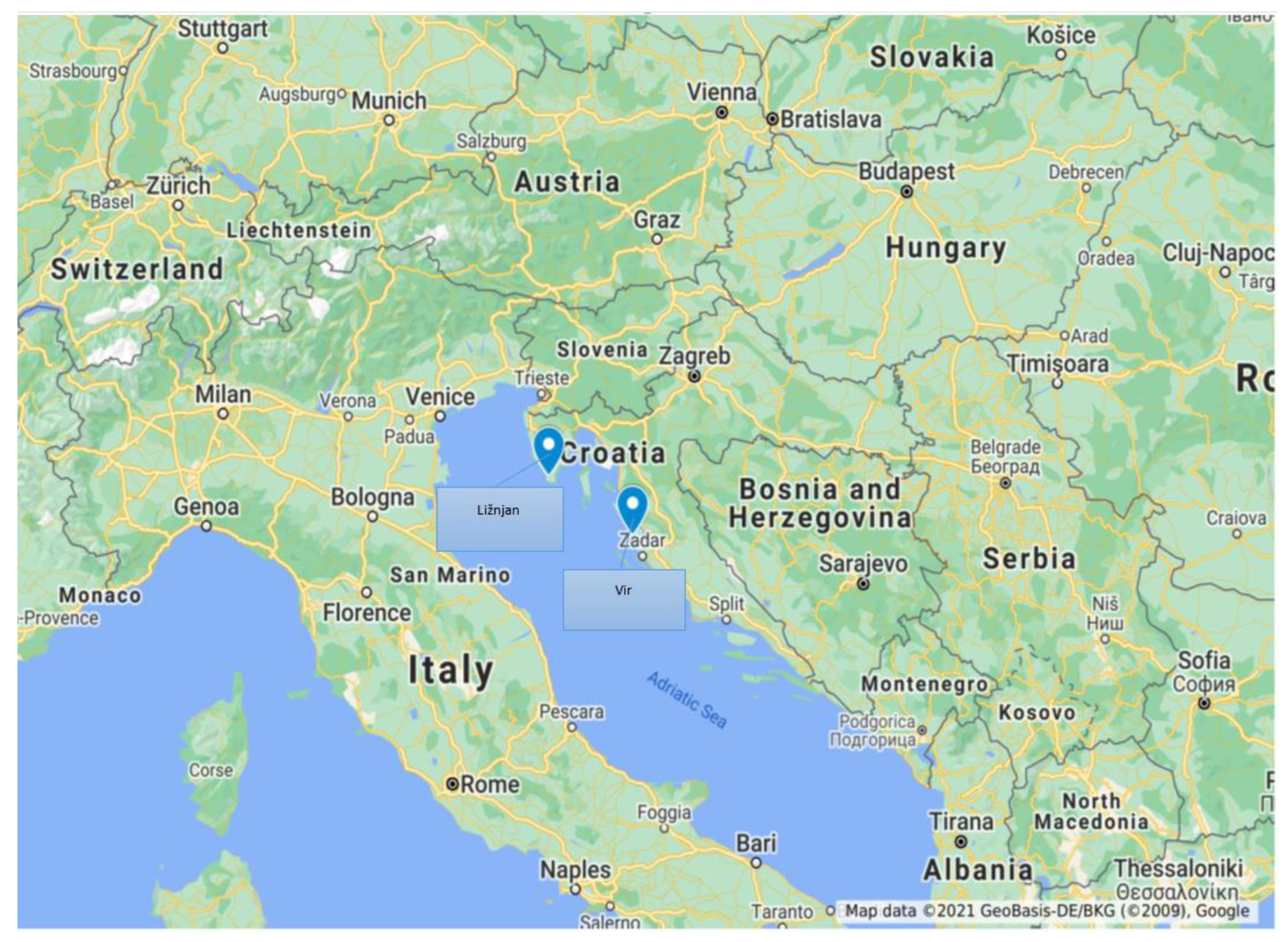 Societies 11 00079 g001