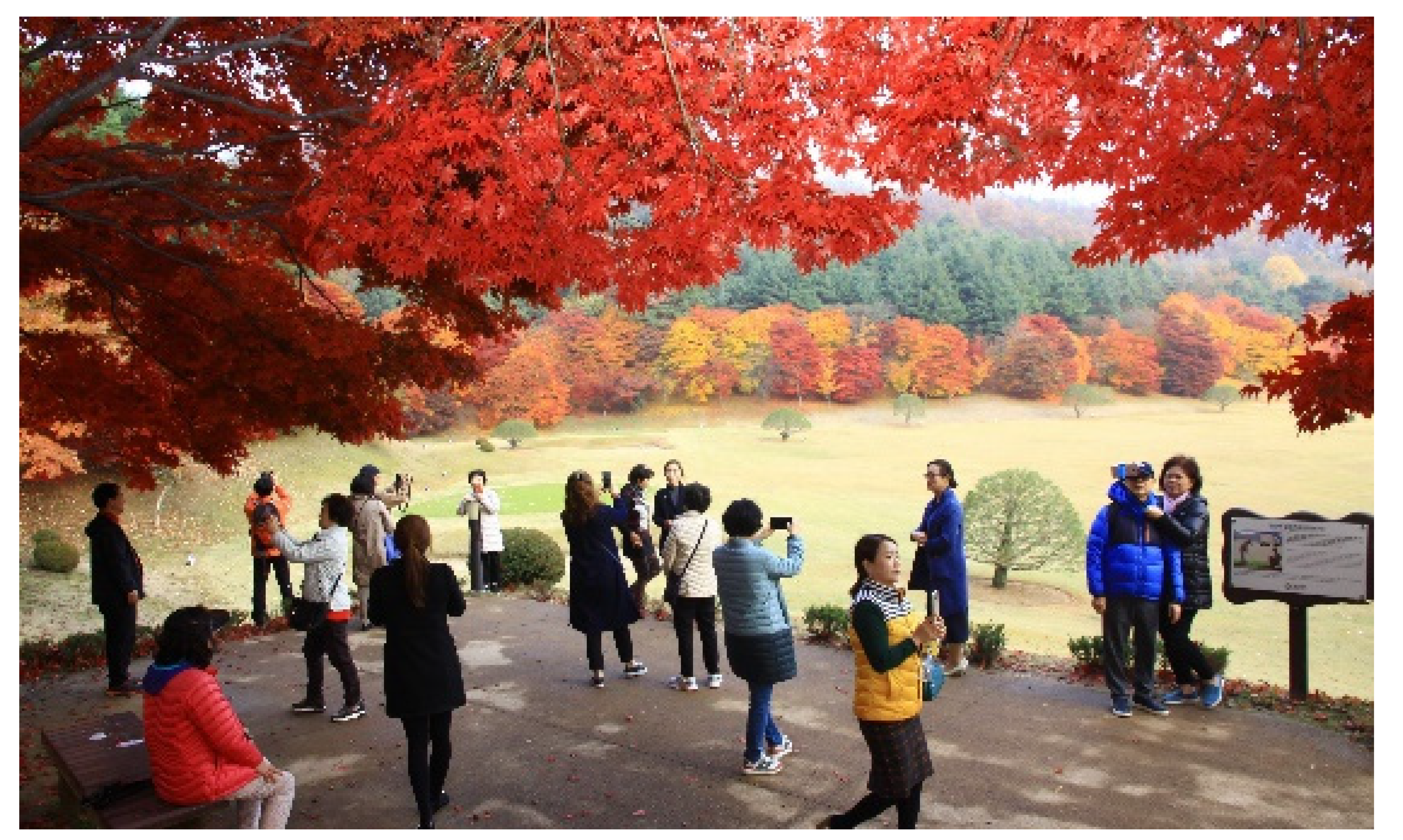 Societies 11 00104 i007