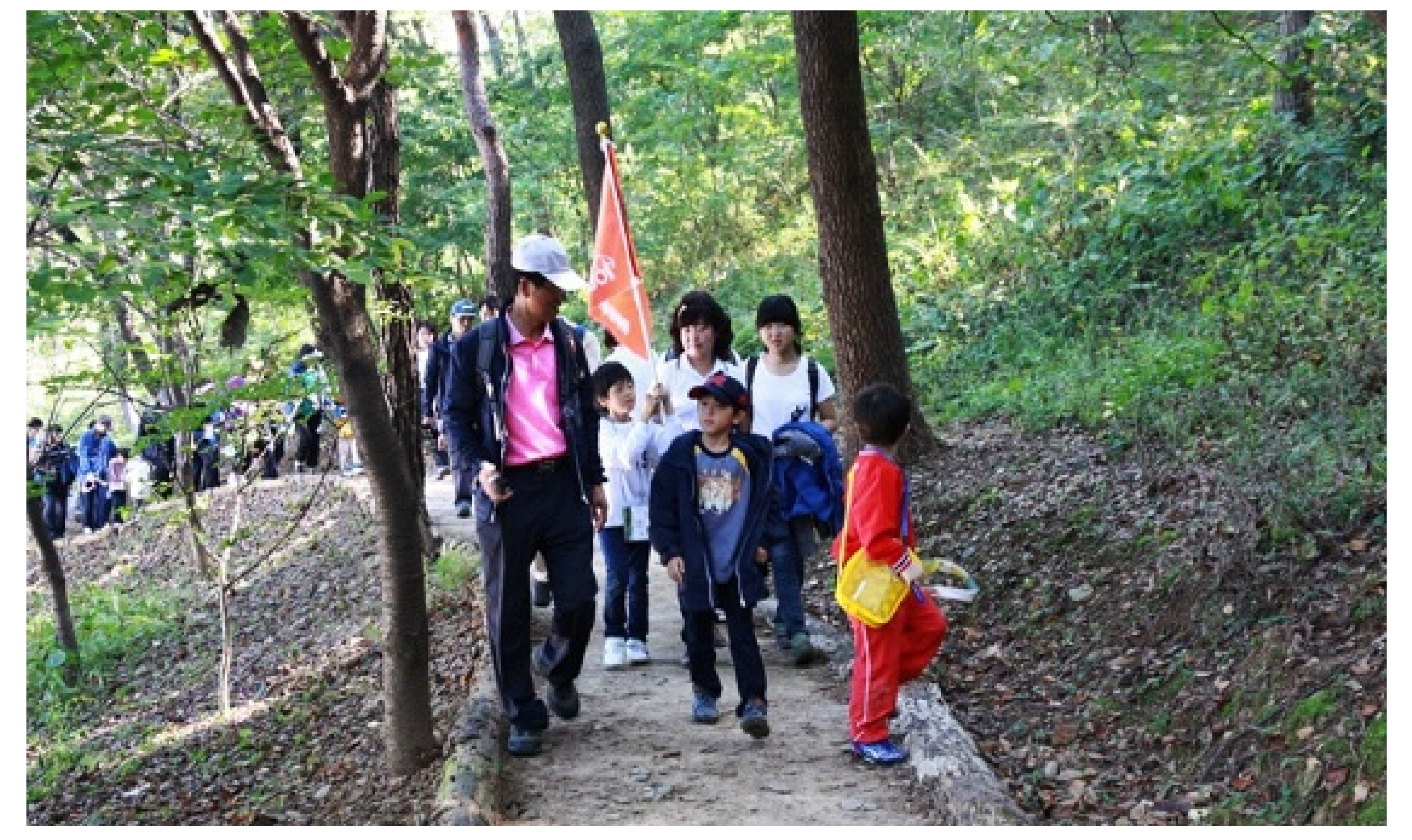 Societies 11 00104 i008