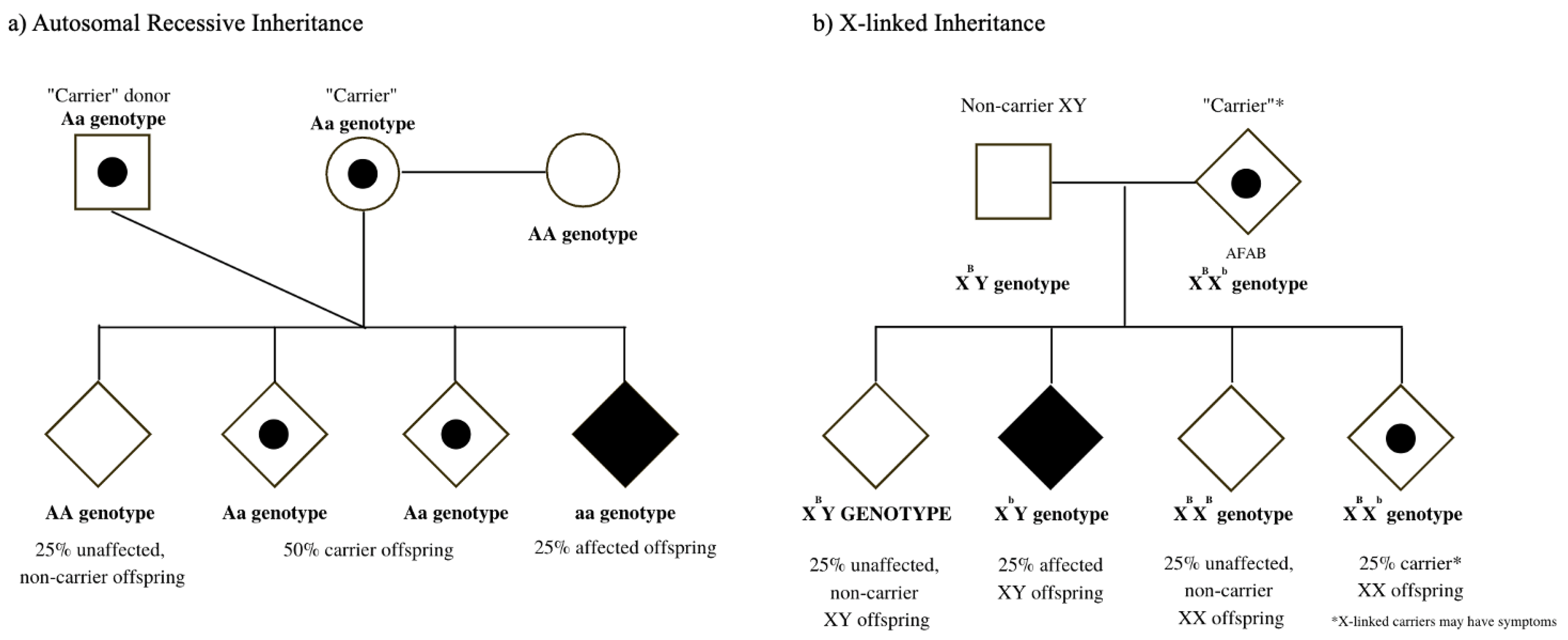 Societies 12 00033 g001
