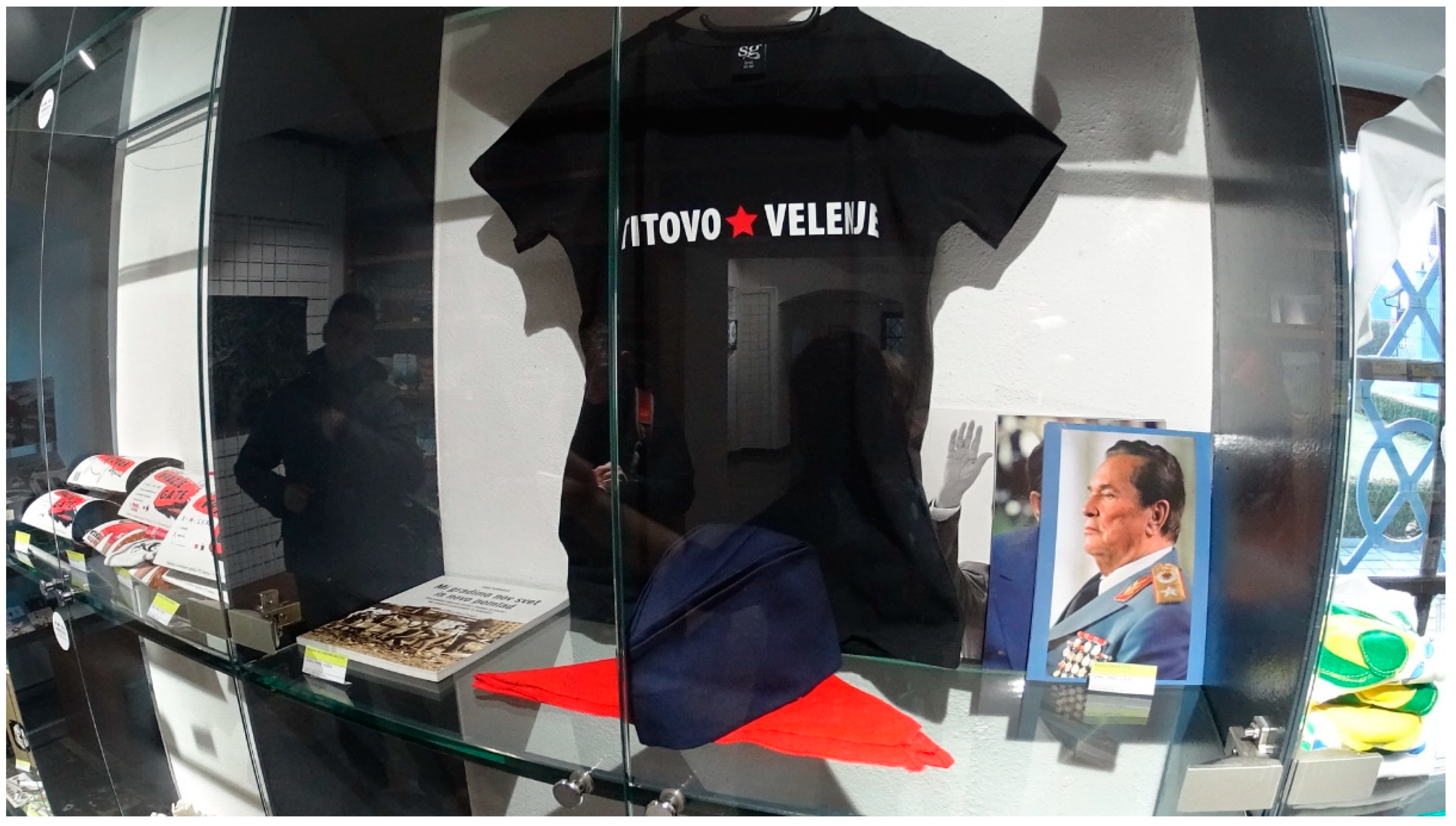 Societies 12 00049 g004