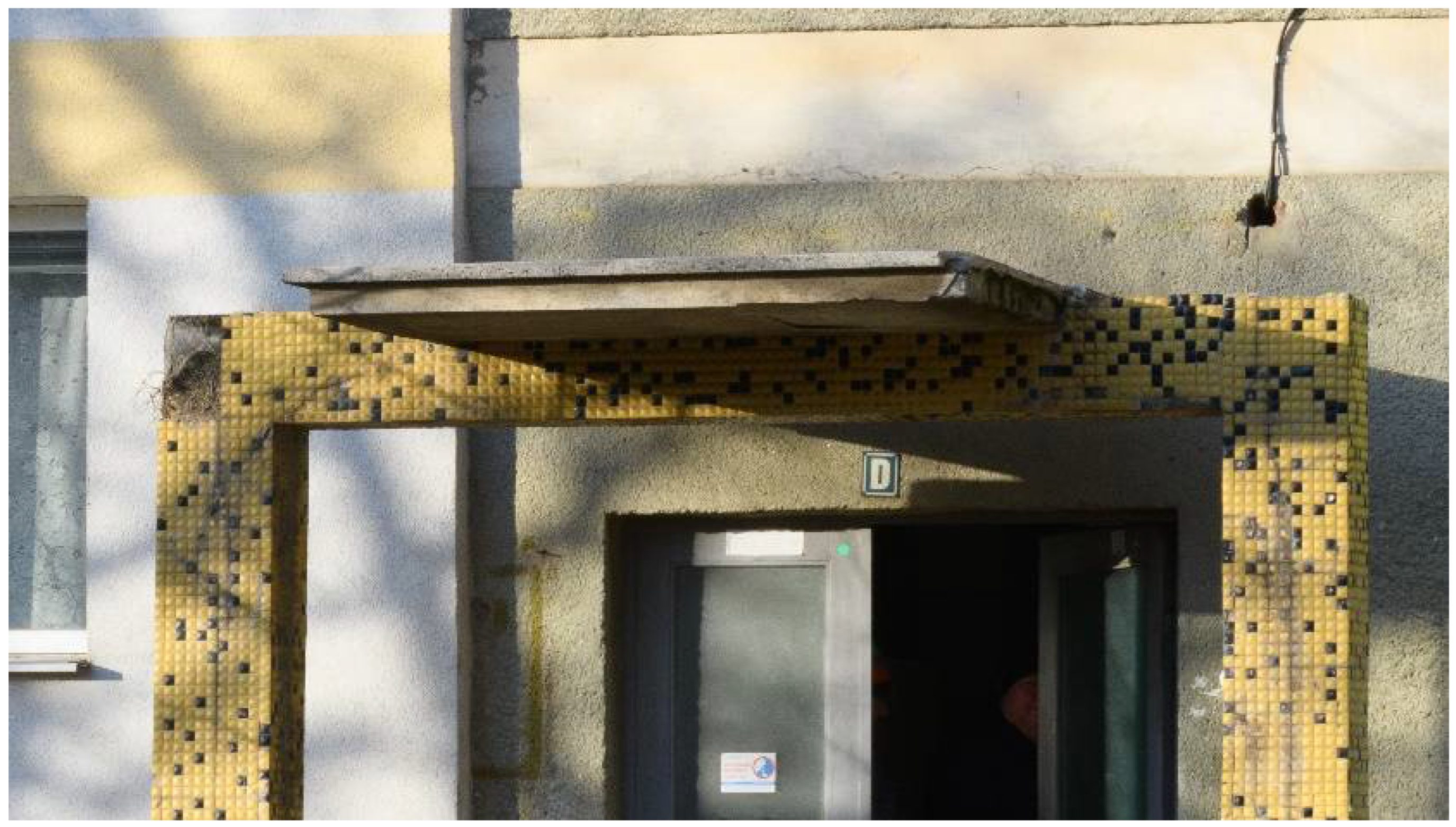 Societies 12 00107 g004