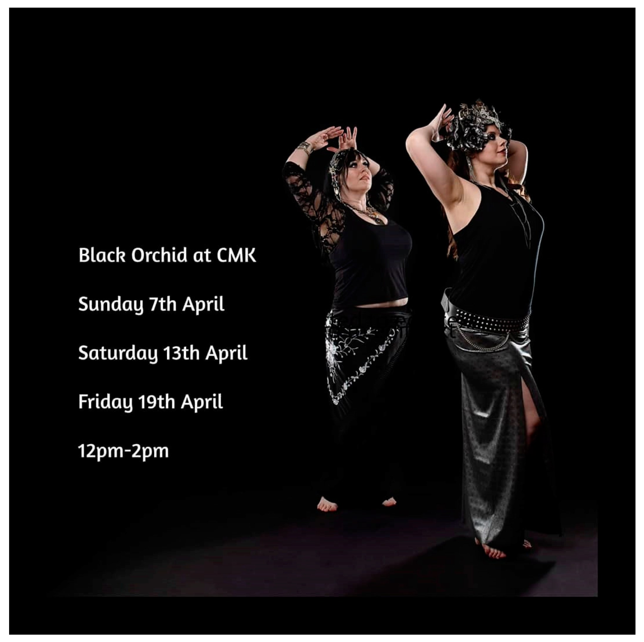 Societies 12 00135 g001