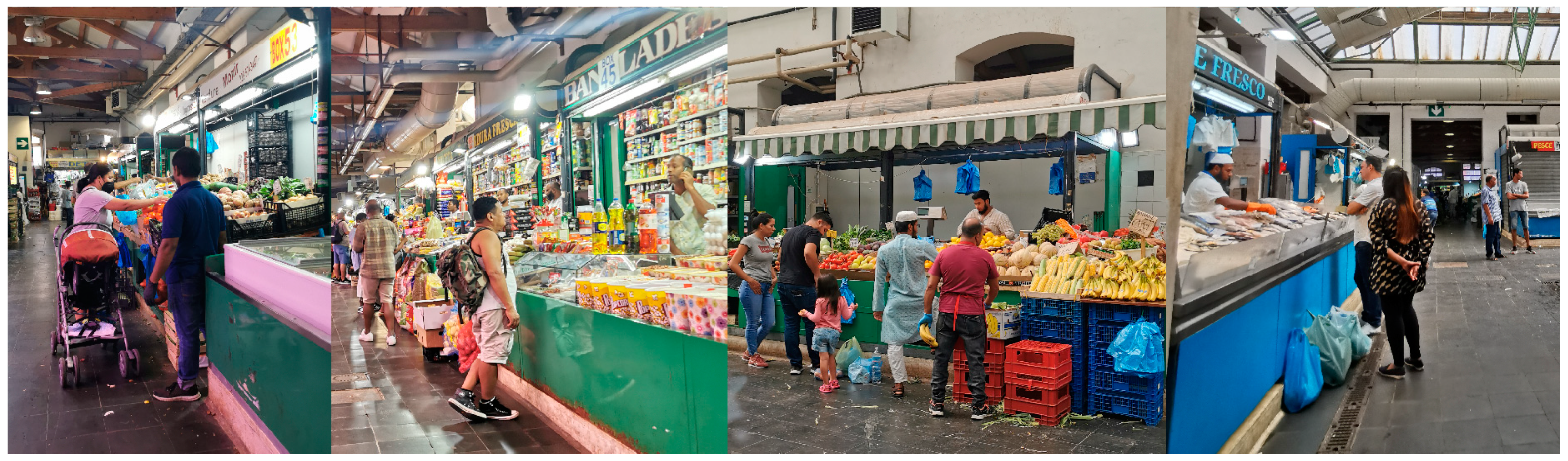 Societies 12 00139 g003