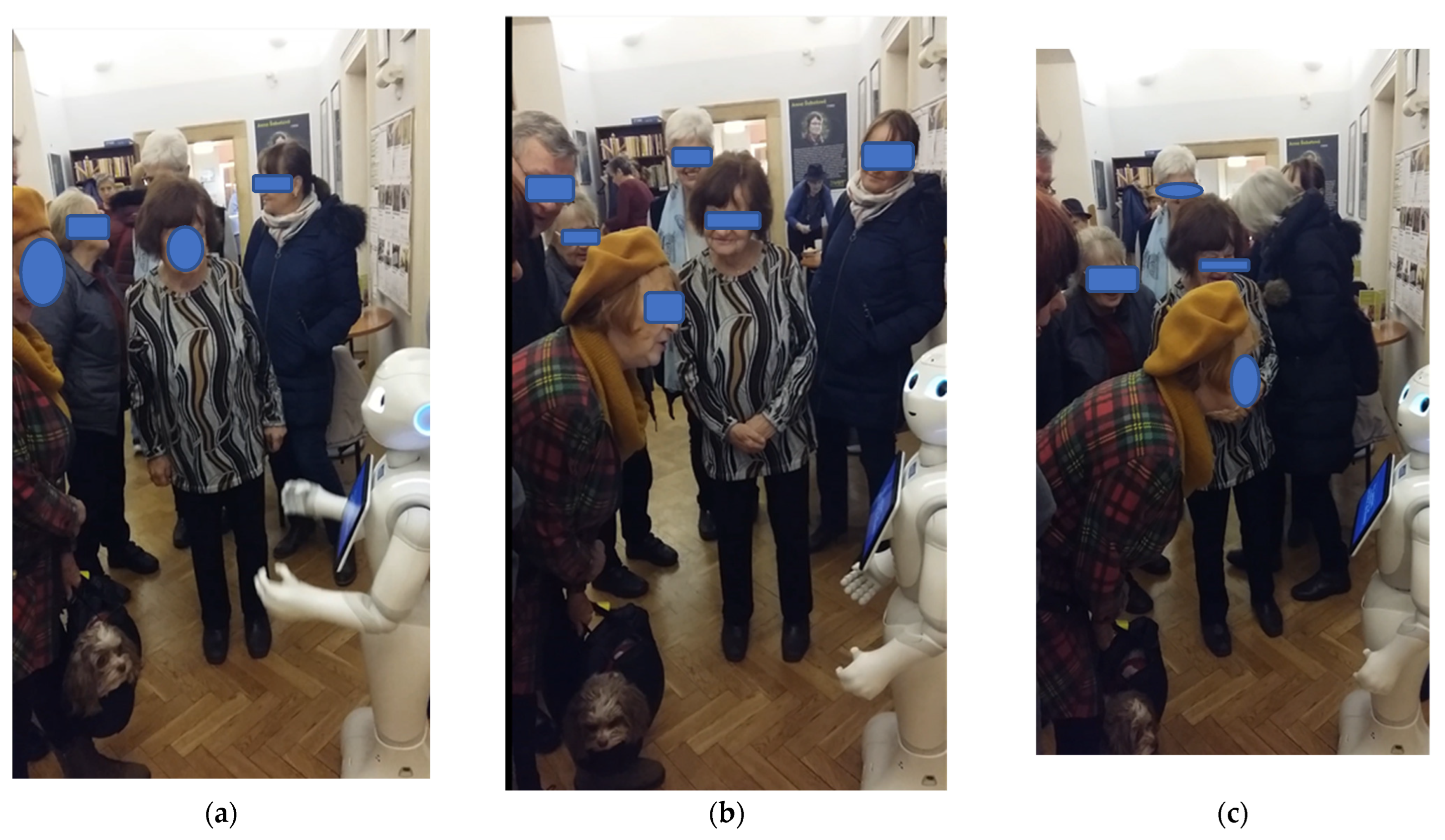 Societies 13 00015 g001