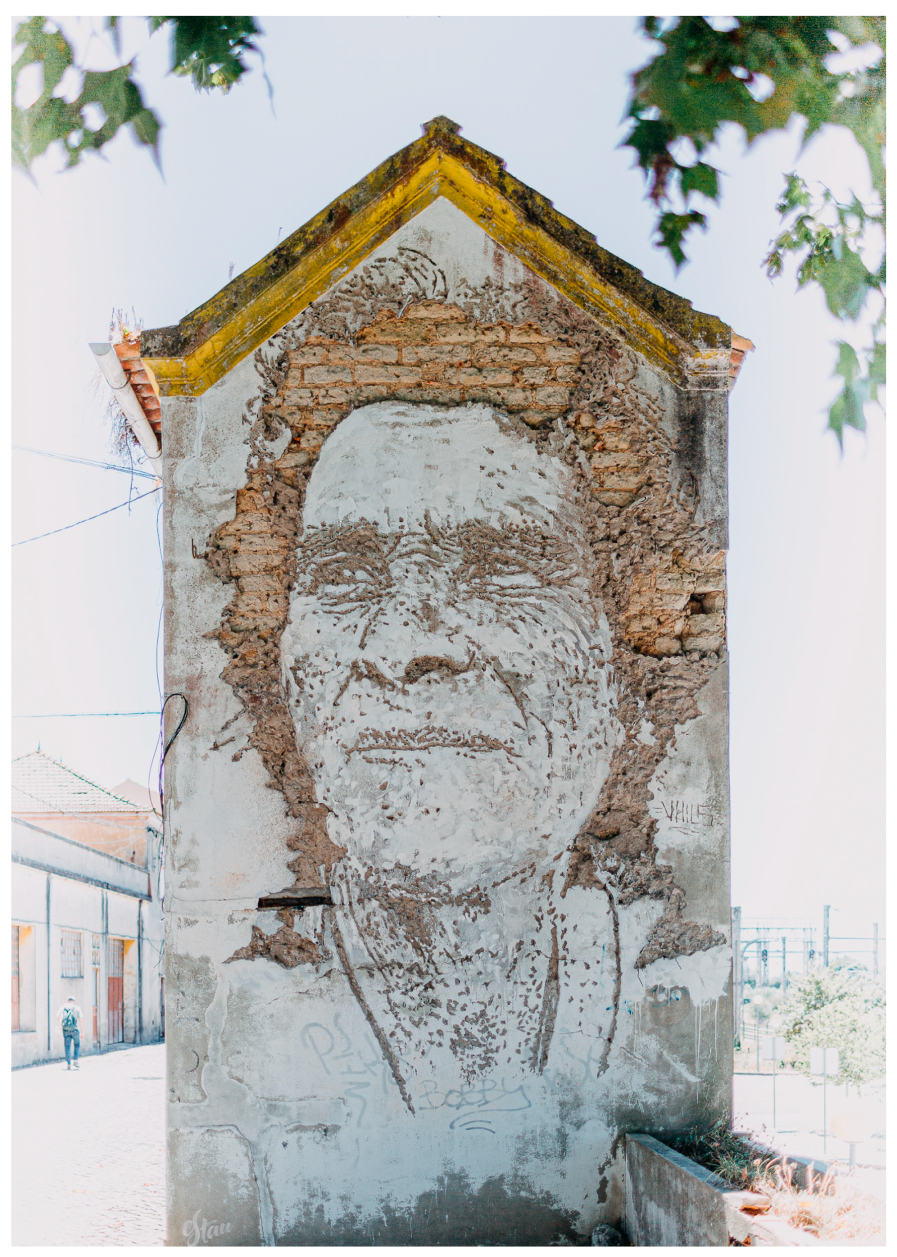 Societies 13 00054 g010