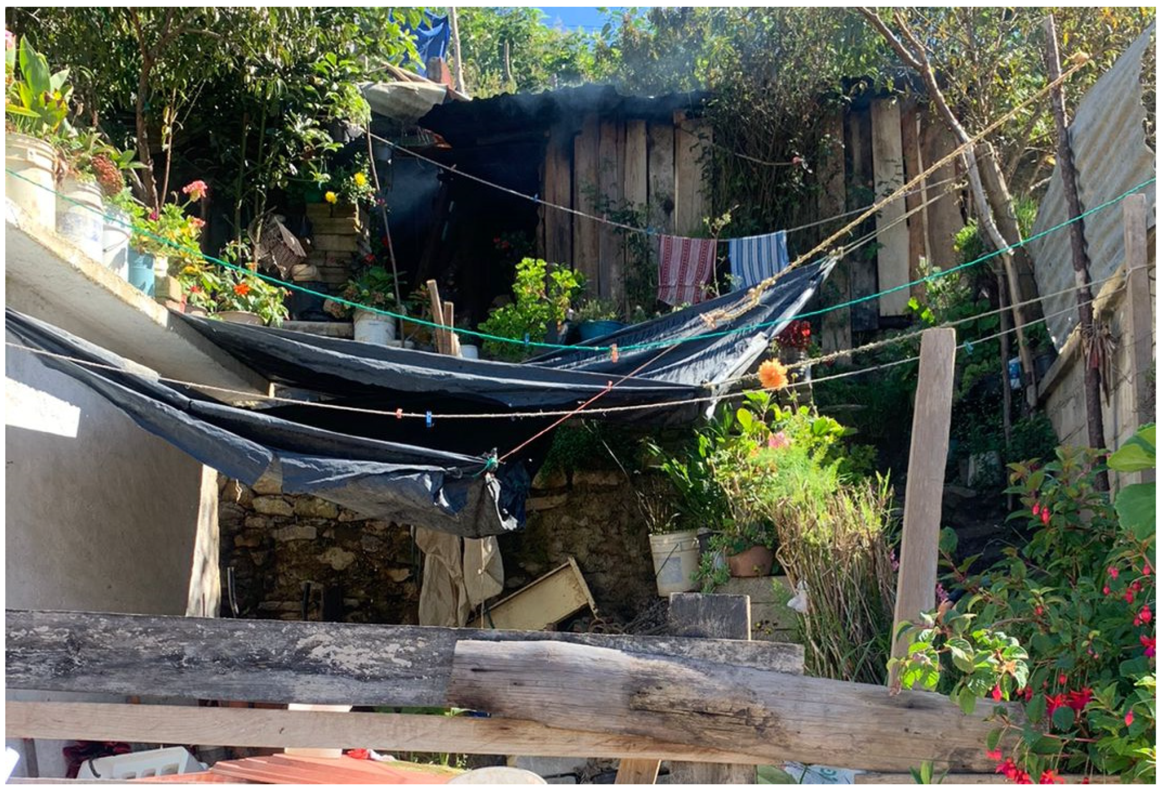 Societies 13 00105 g005