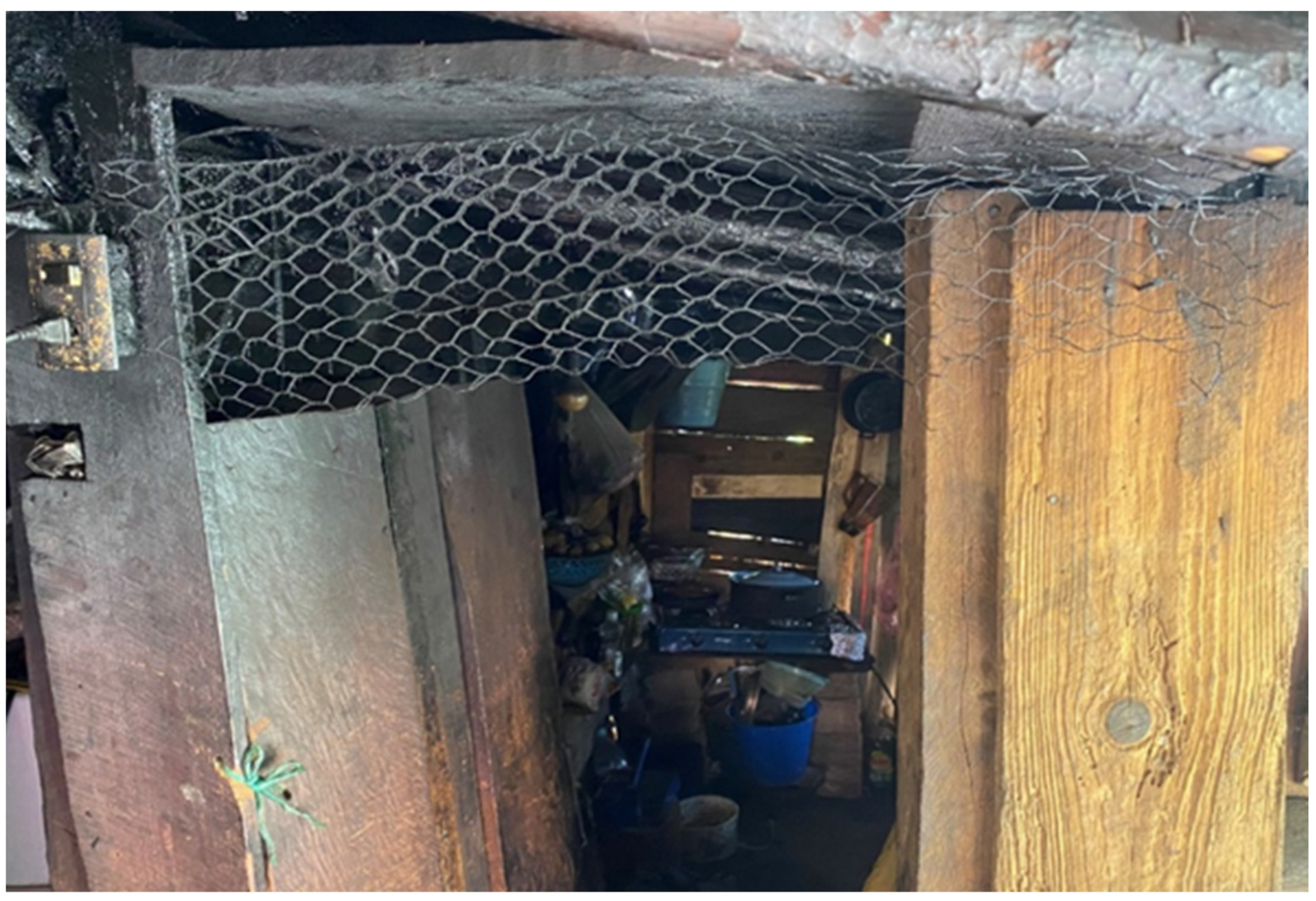 Societies 13 00105 g007