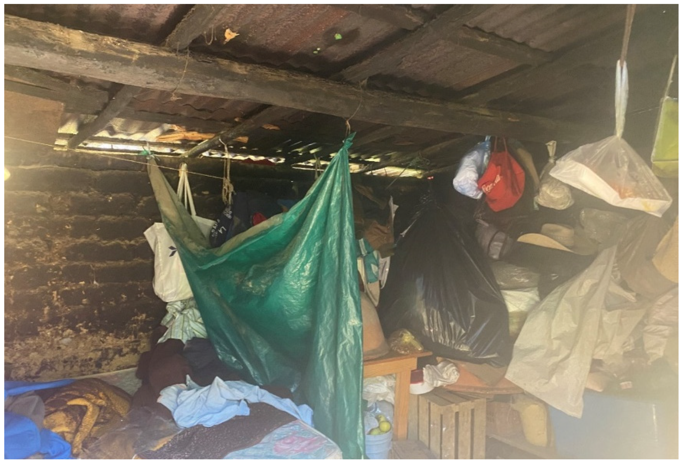 Societies 13 00105 g009