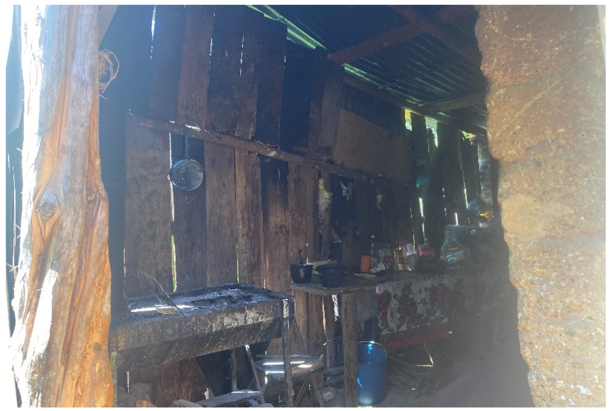 Societies 13 00105 g010