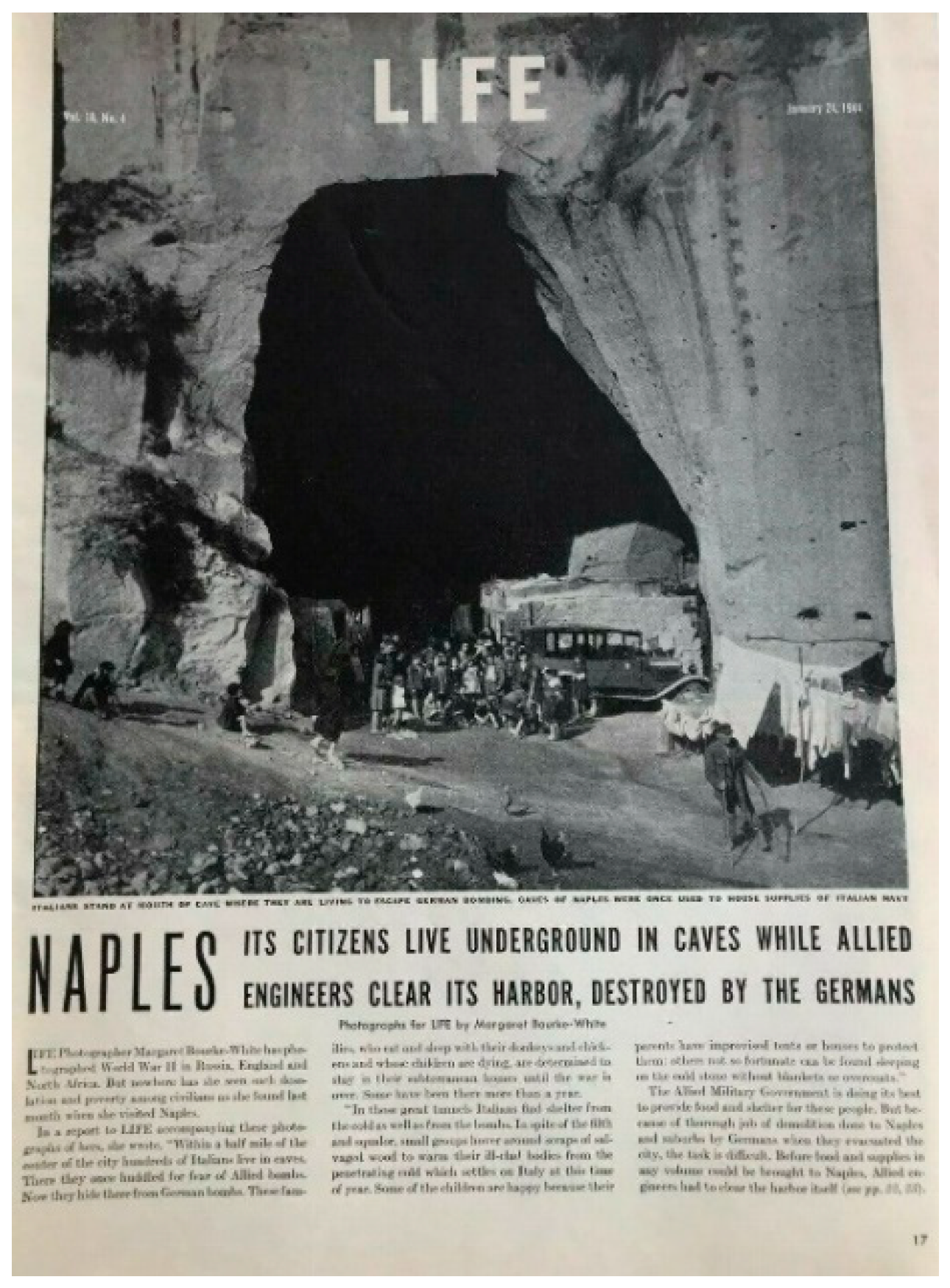 Societies 13 00130 g005 Societies 13 00130 g005