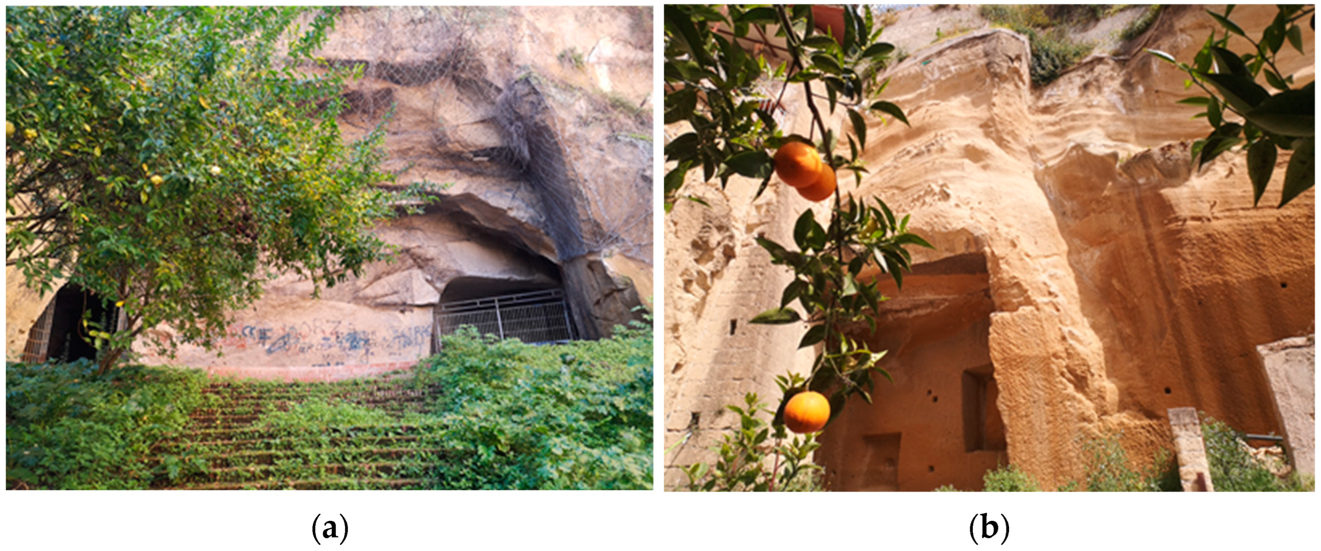 Societies 13 00130 g008 Societies 13 00130 g008