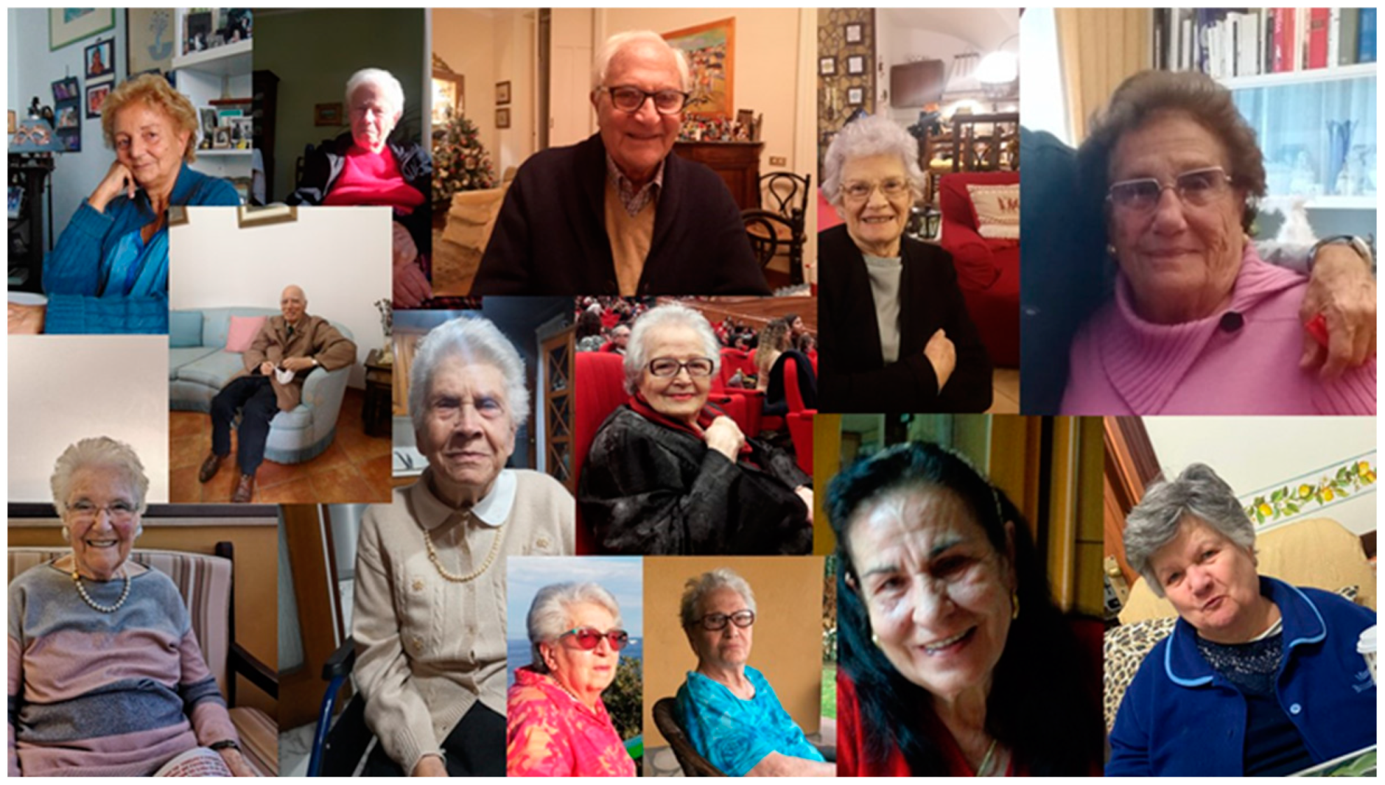 Societies 13 00130 g011 Societies 13 00130 g011