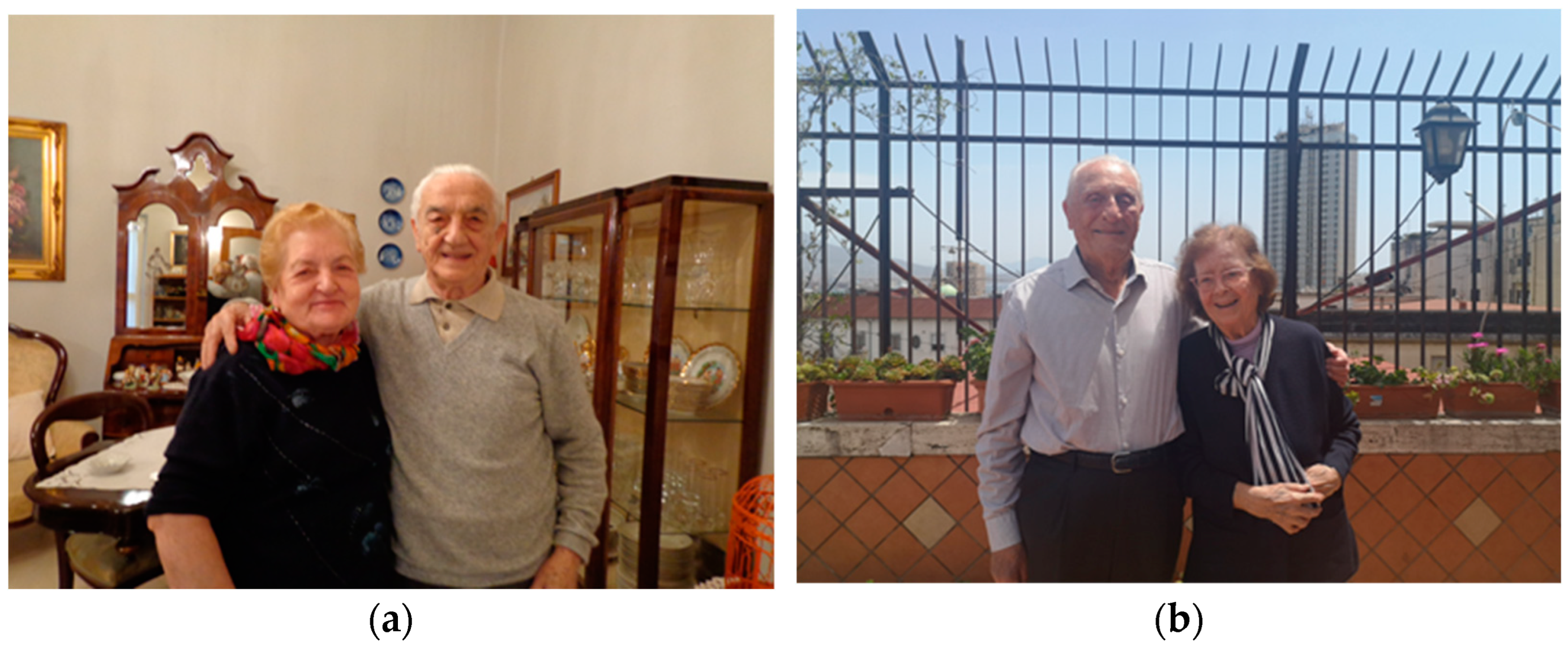 Societies 13 00130 g015 Societies 13 00130 g015