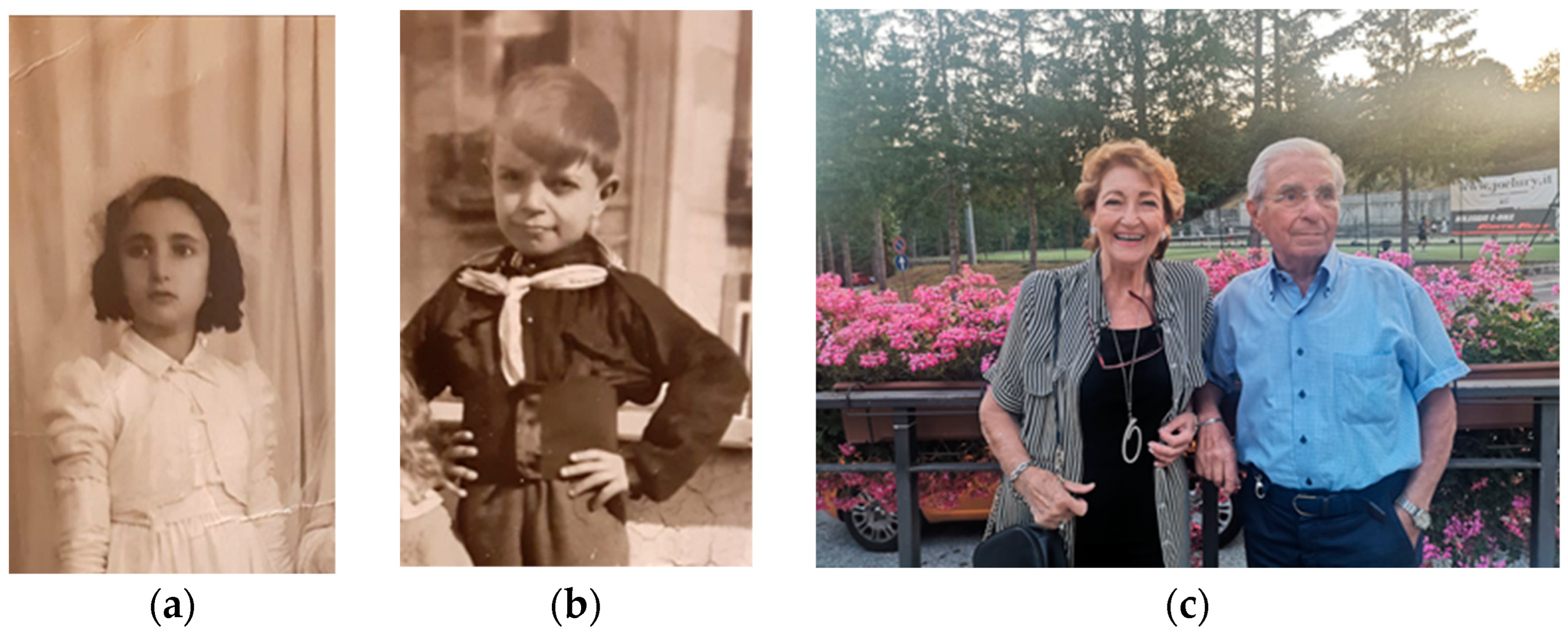 Societies 13 00130 g016 Societies 13 00130 g016