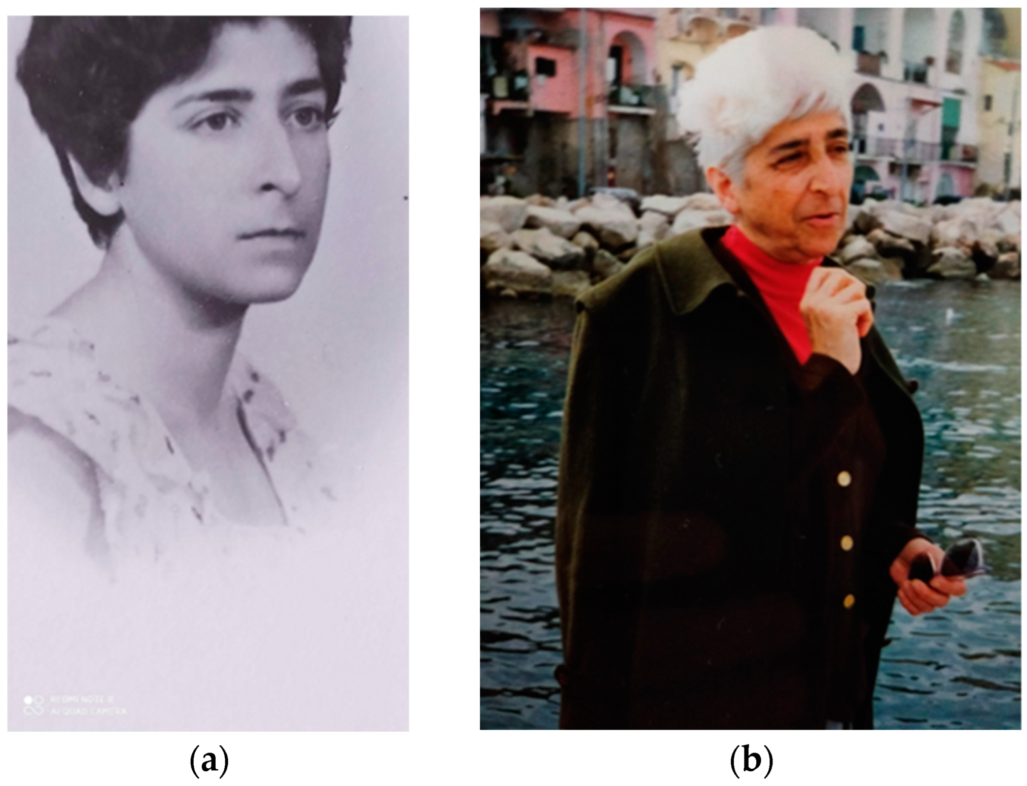 Societies 13 00130 g019 Societies 13 00130 g019