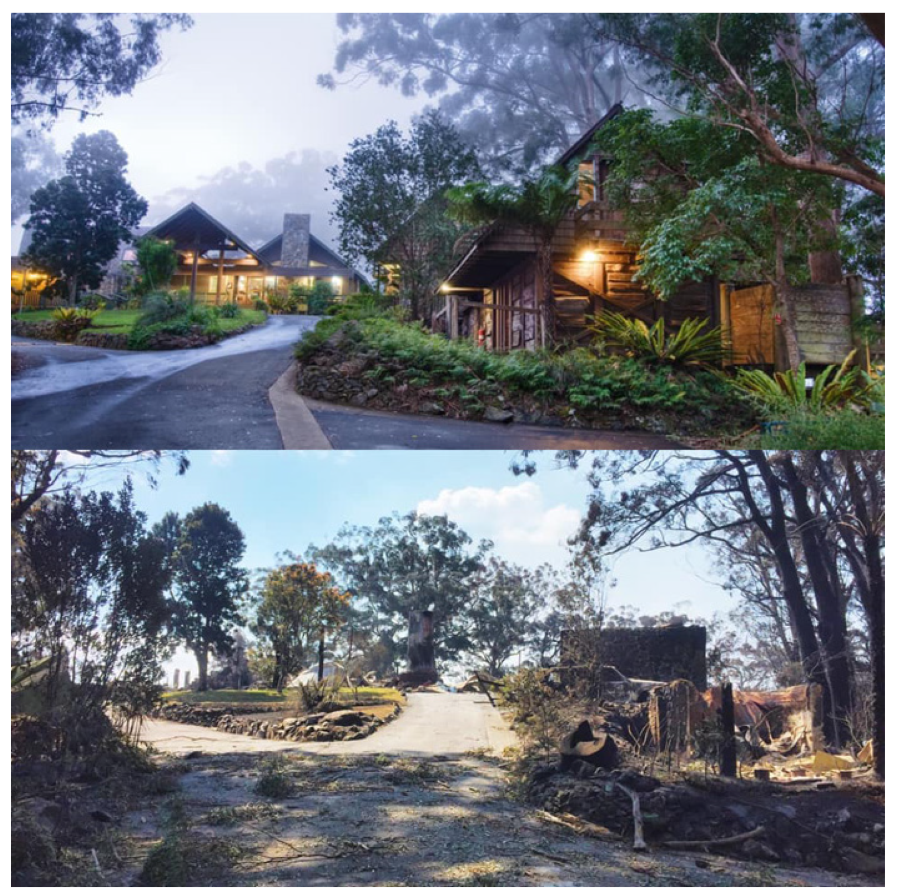 Societies 13 00138 g002