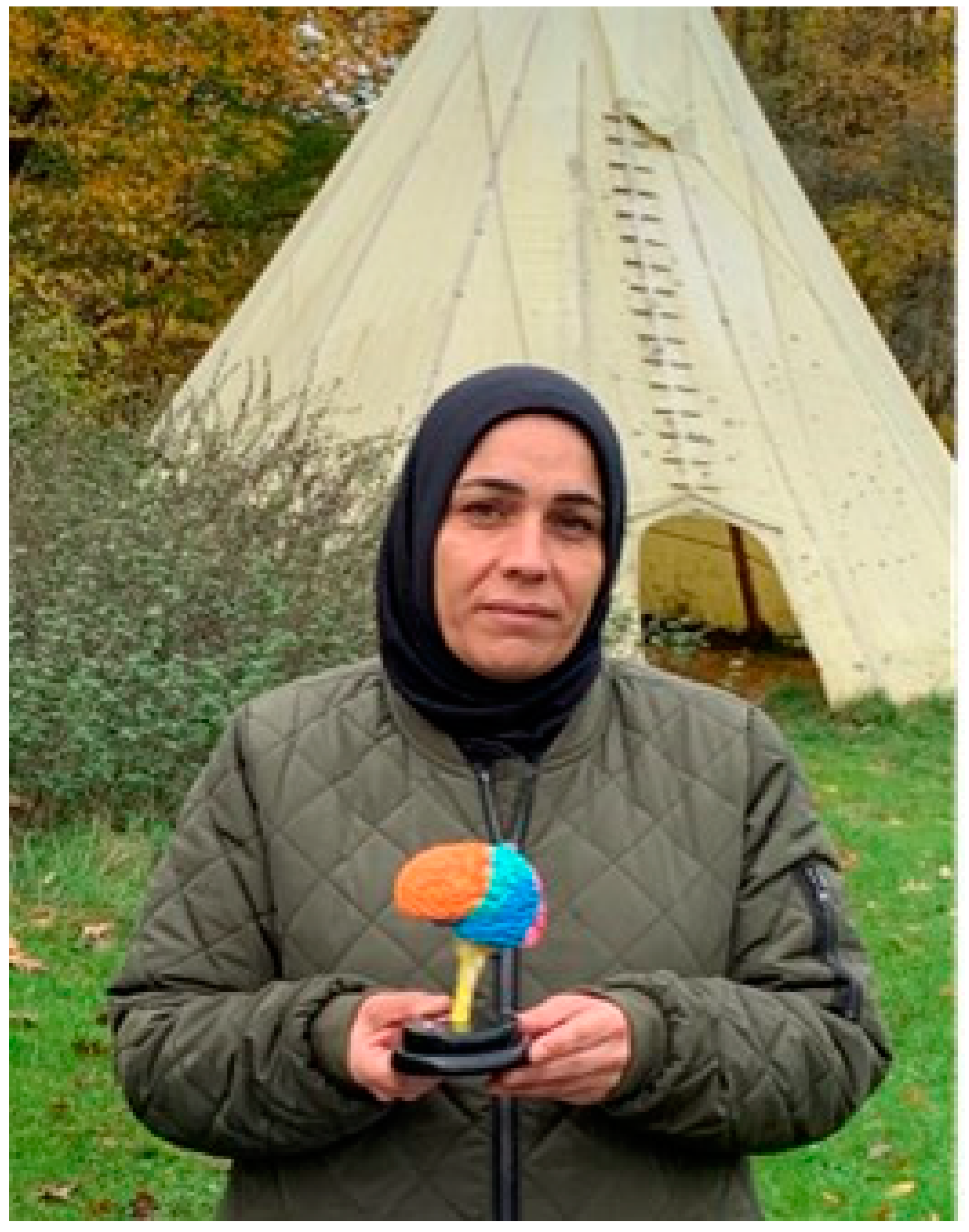 Societies 14 00008 g001