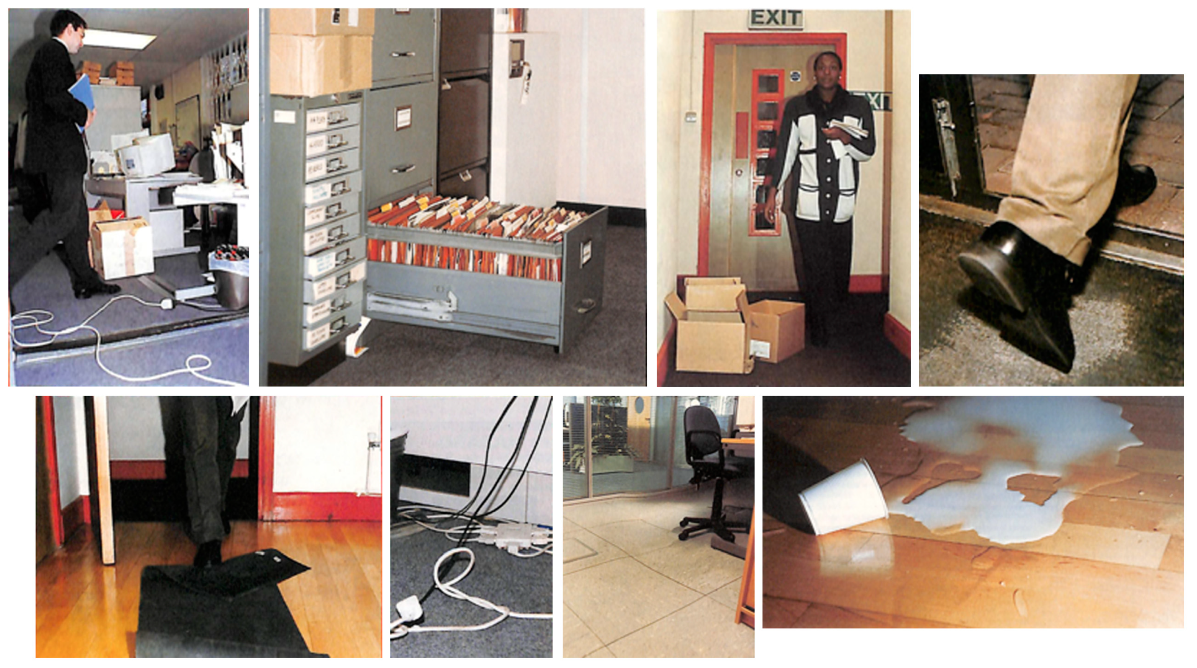 Societies 14 00035 g002