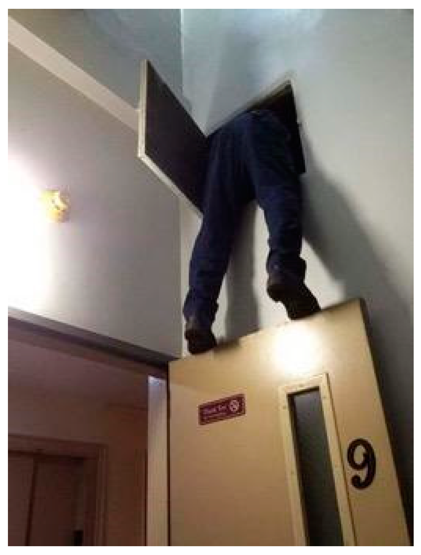 Societies 14 00035 g004