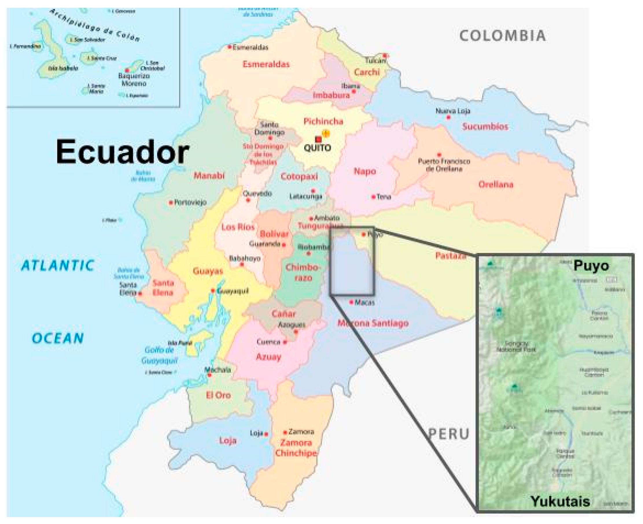 Societies 14 00156 g001