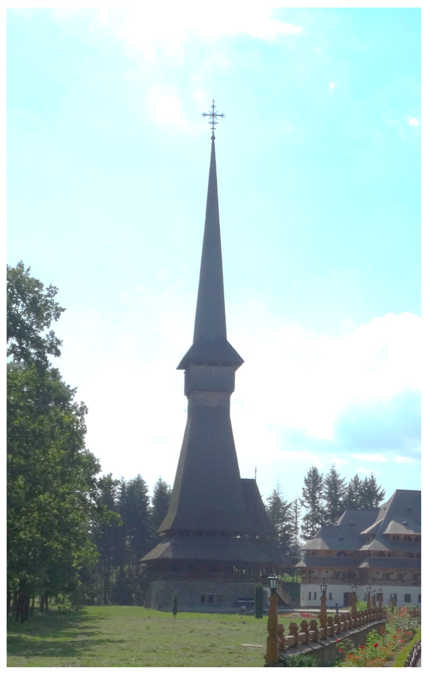 Societies 14 00225 g004