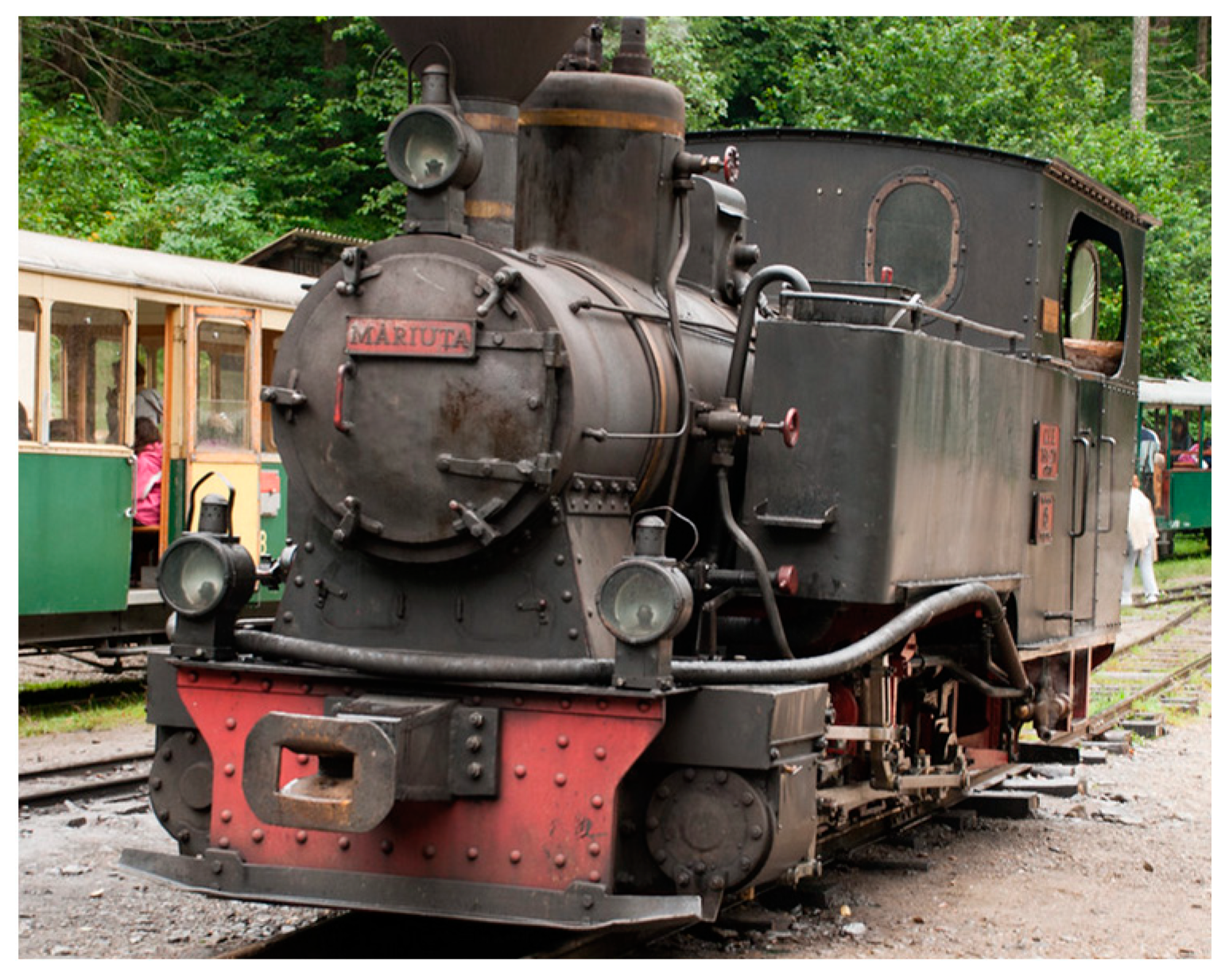 Societies 14 00225 g015