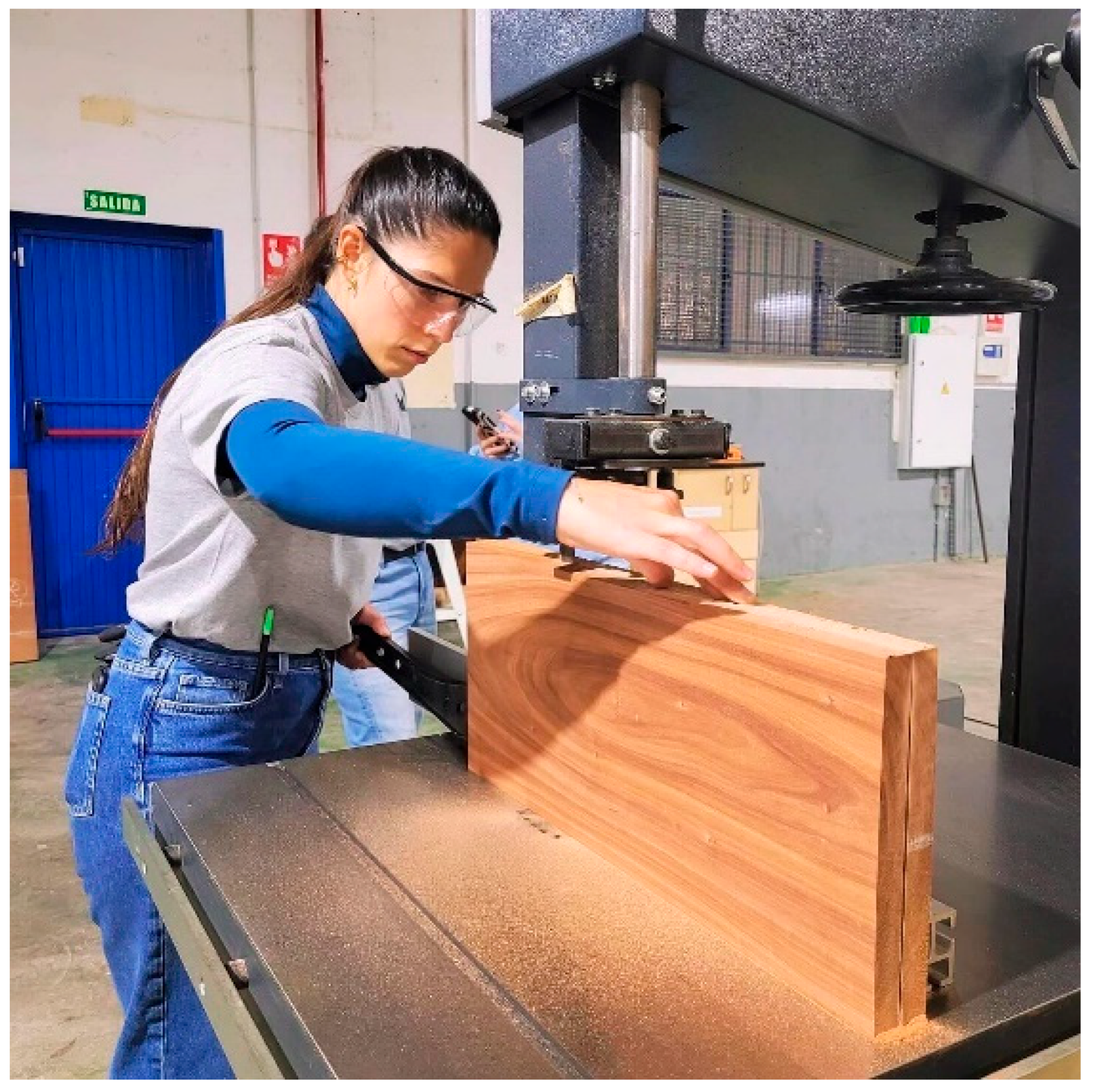 Societies 14 00232 g006