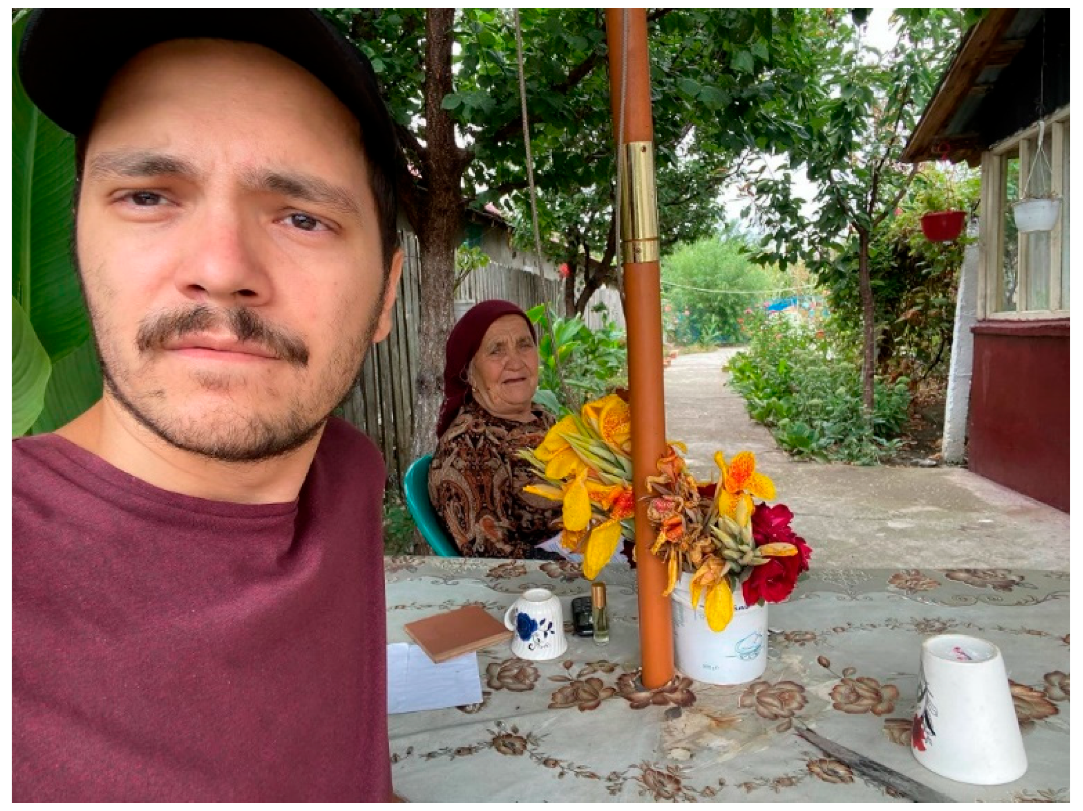 Societies 14 00232 g009