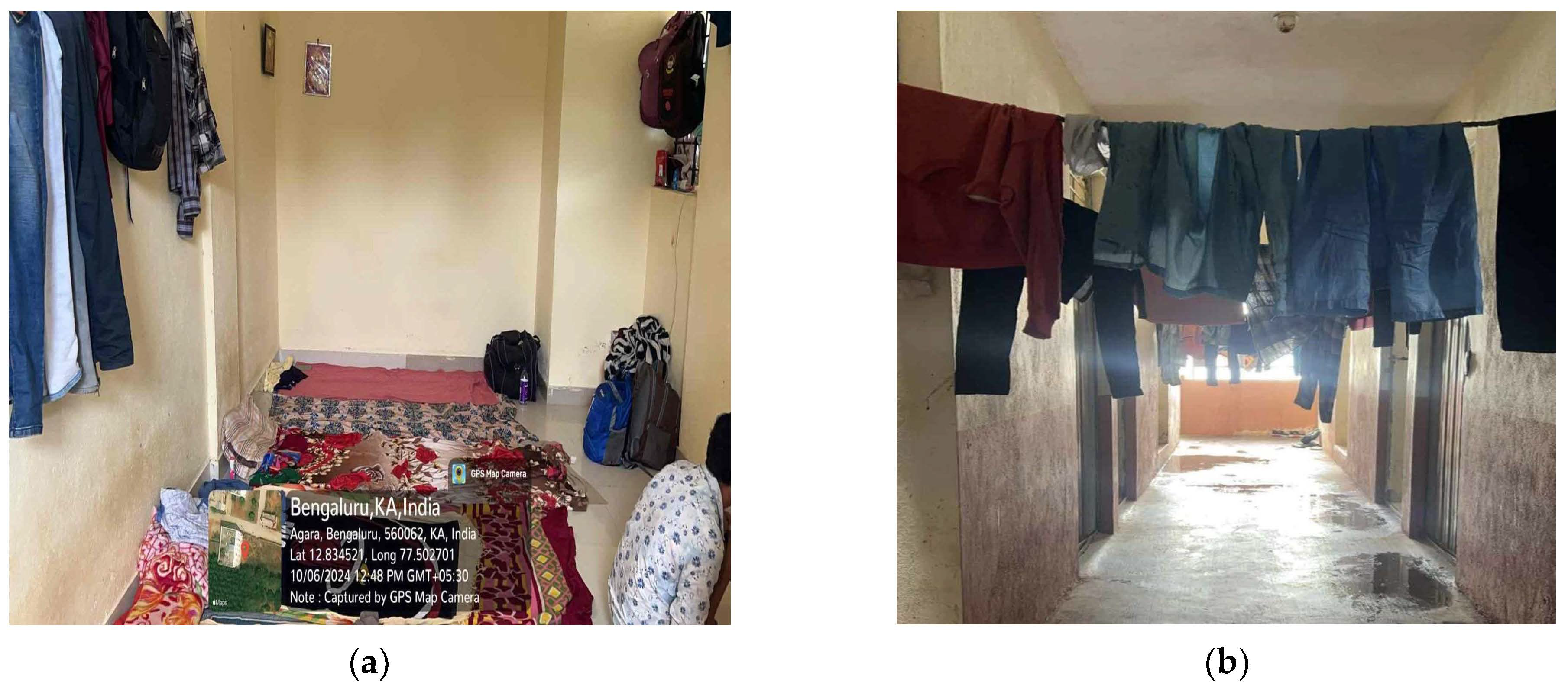 Societies 14 00261 g003