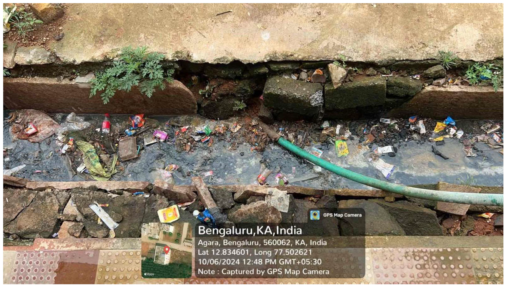 Societies 14 00261 g004