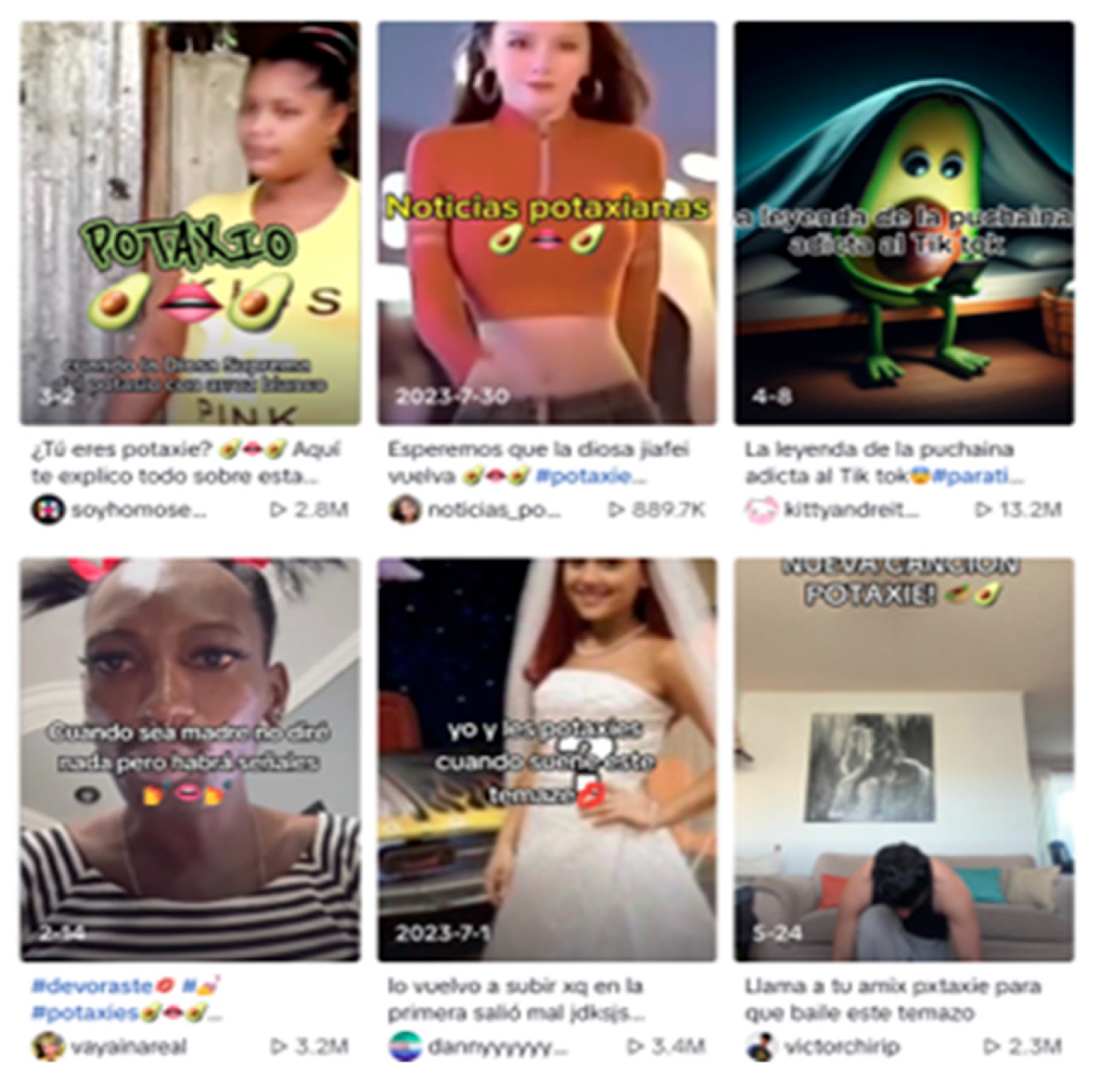 Societies 14 00265 g006