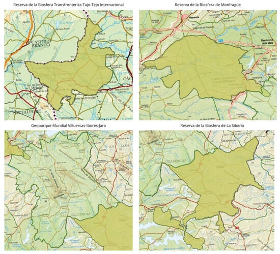 Societies 15 00152 g005