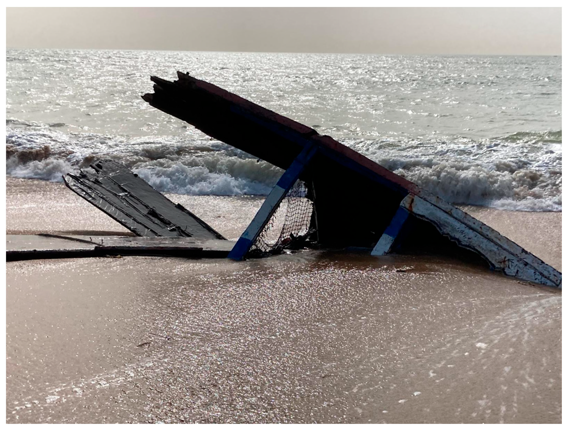 Societies 15 00203 g001