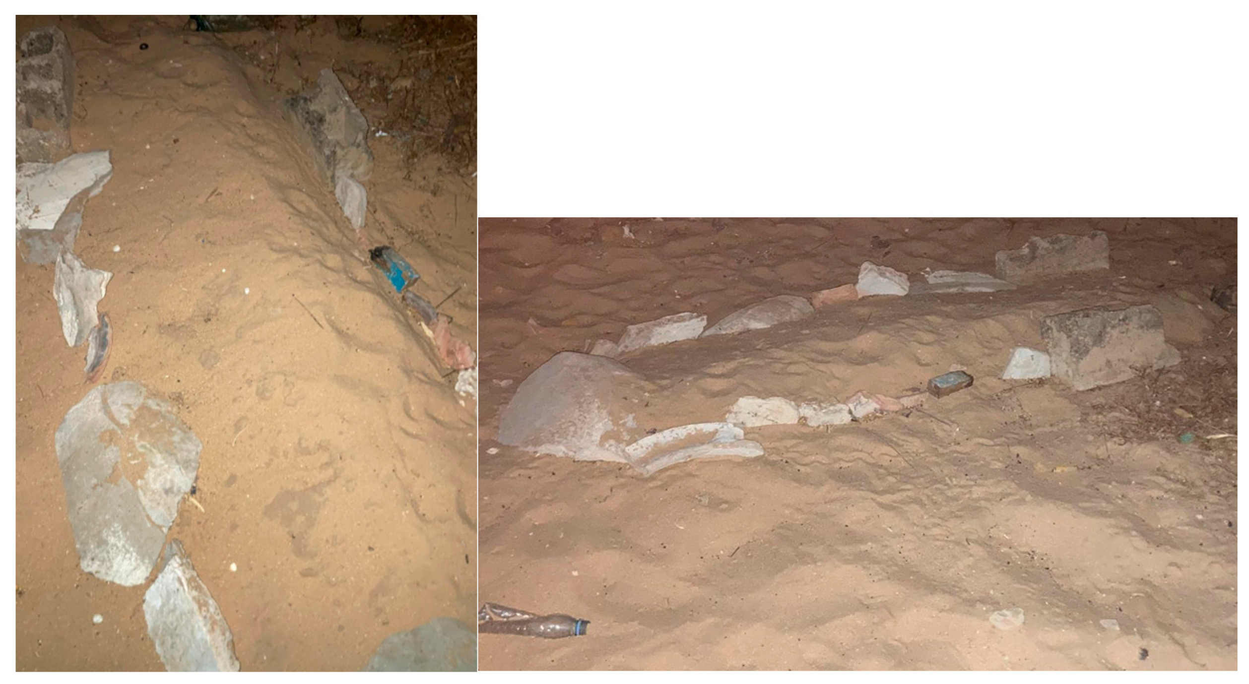 Societies 15 00203 g002