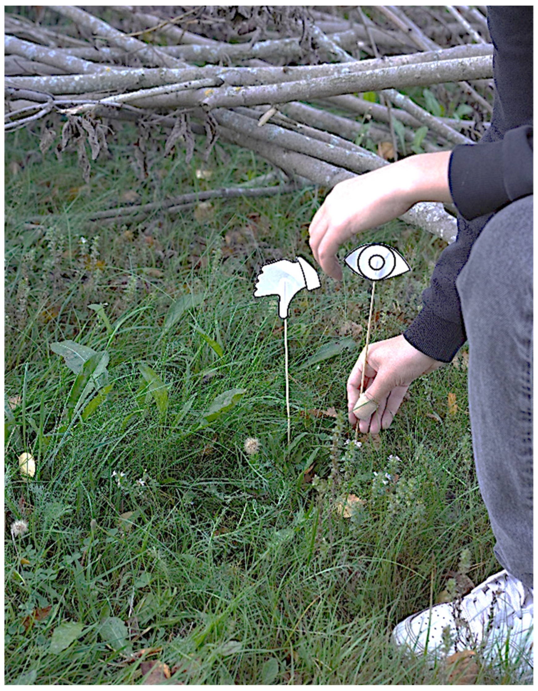 Societies 15 00219 g004 Societies 15 00219 g004