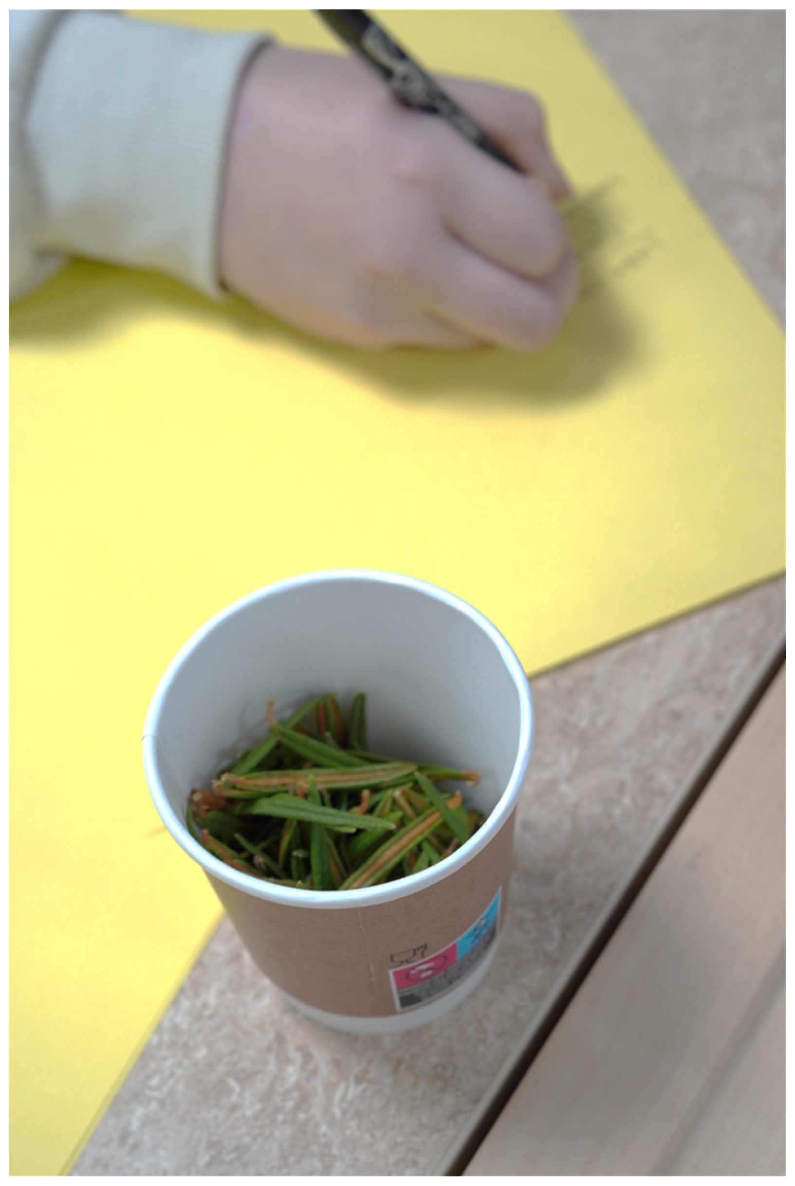 Societies 15 00219 g006 Societies 15 00219 g006