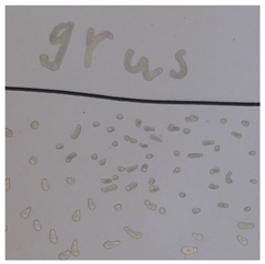 Societies 15 00219 i015 Societies 15 00219 i015