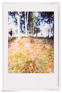 Societies 15 00219 i037 Societies 15 00219 i037