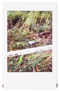 Societies 15 00219 i038 Societies 15 00219 i038