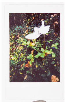 Societies 15 00219 i042 Societies 15 00219 i042