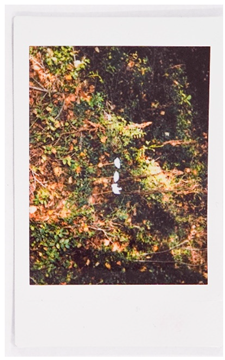 Societies 15 00219 i043 Societies 15 00219 i043