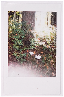 Societies 15 00219 i044 Societies 15 00219 i044